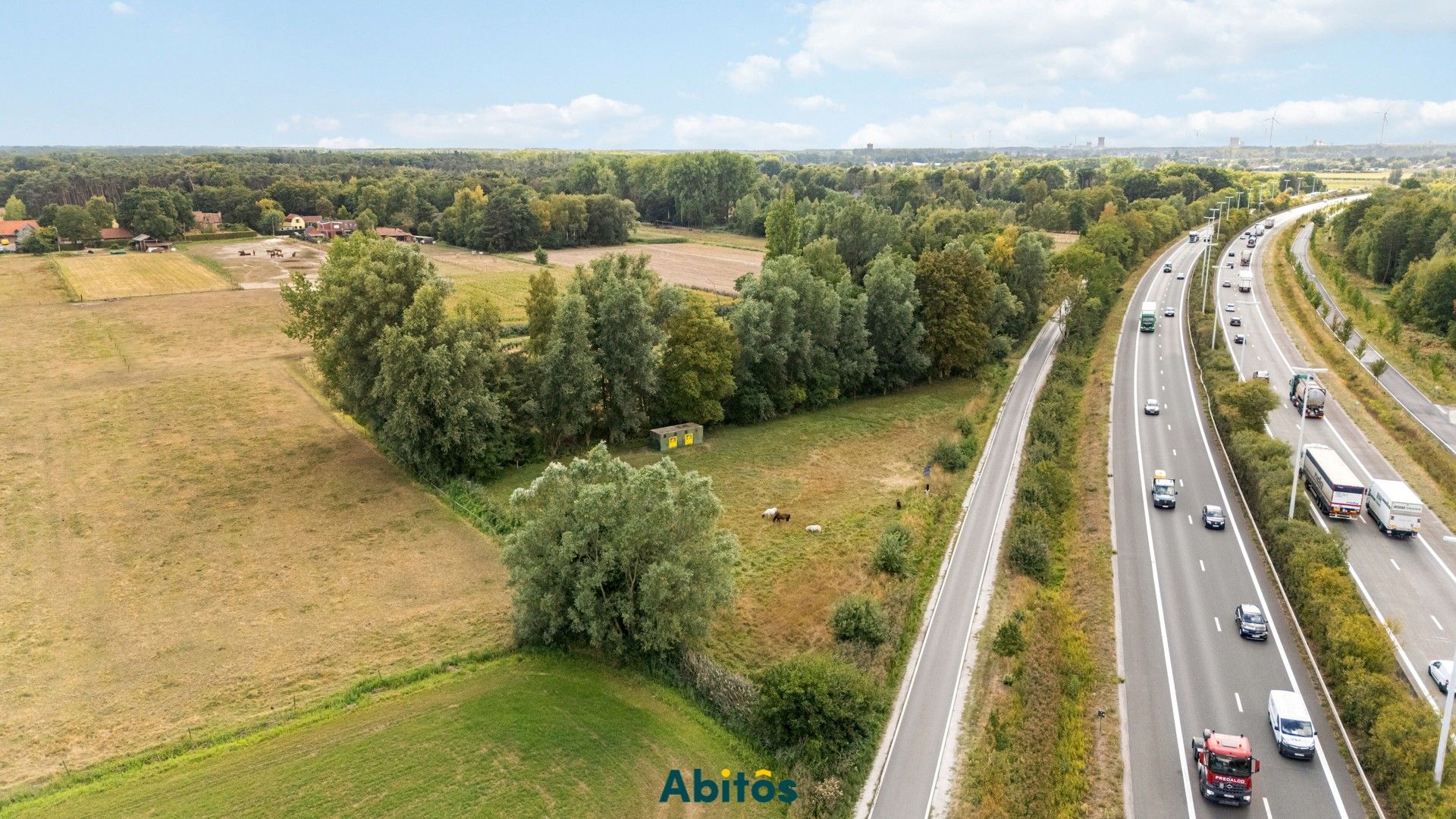 Unieke weide van 3.465 m² – ideaal voor paardenliefhebbers foto 4