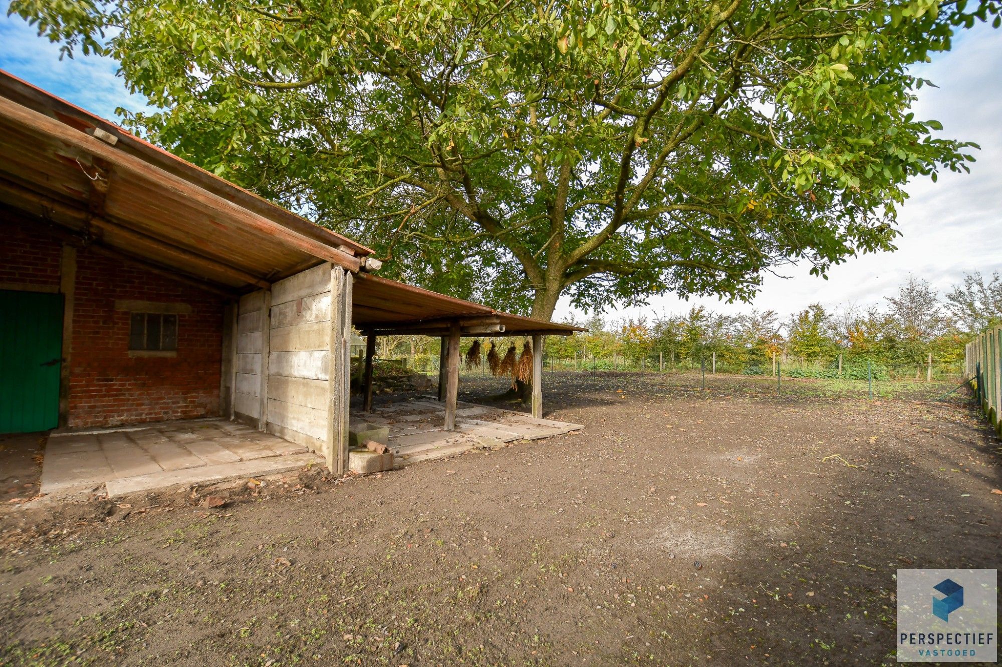 LANDELIJK GELEGEN WONING met SCHUUR  - BOOMGAARD - TUIN & MOESTUIN op 2138 m² foto 5