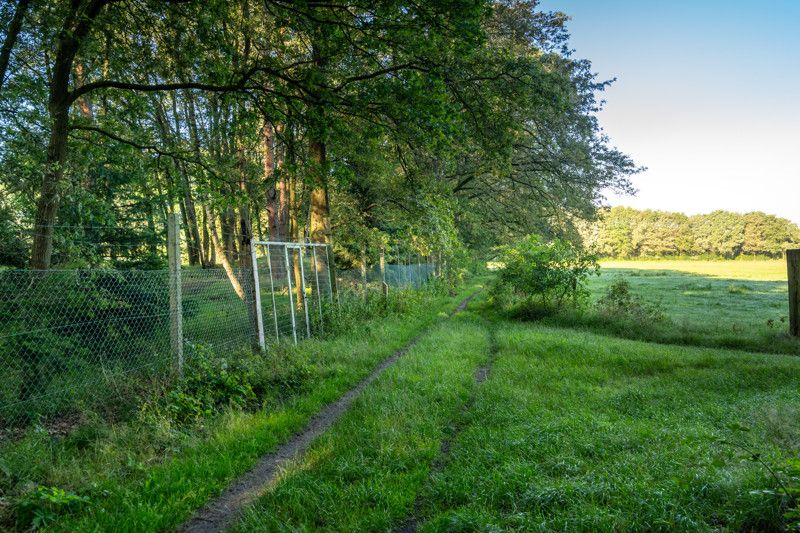 Uniek gelegen renovatieproject op 1,8 ha foto 25