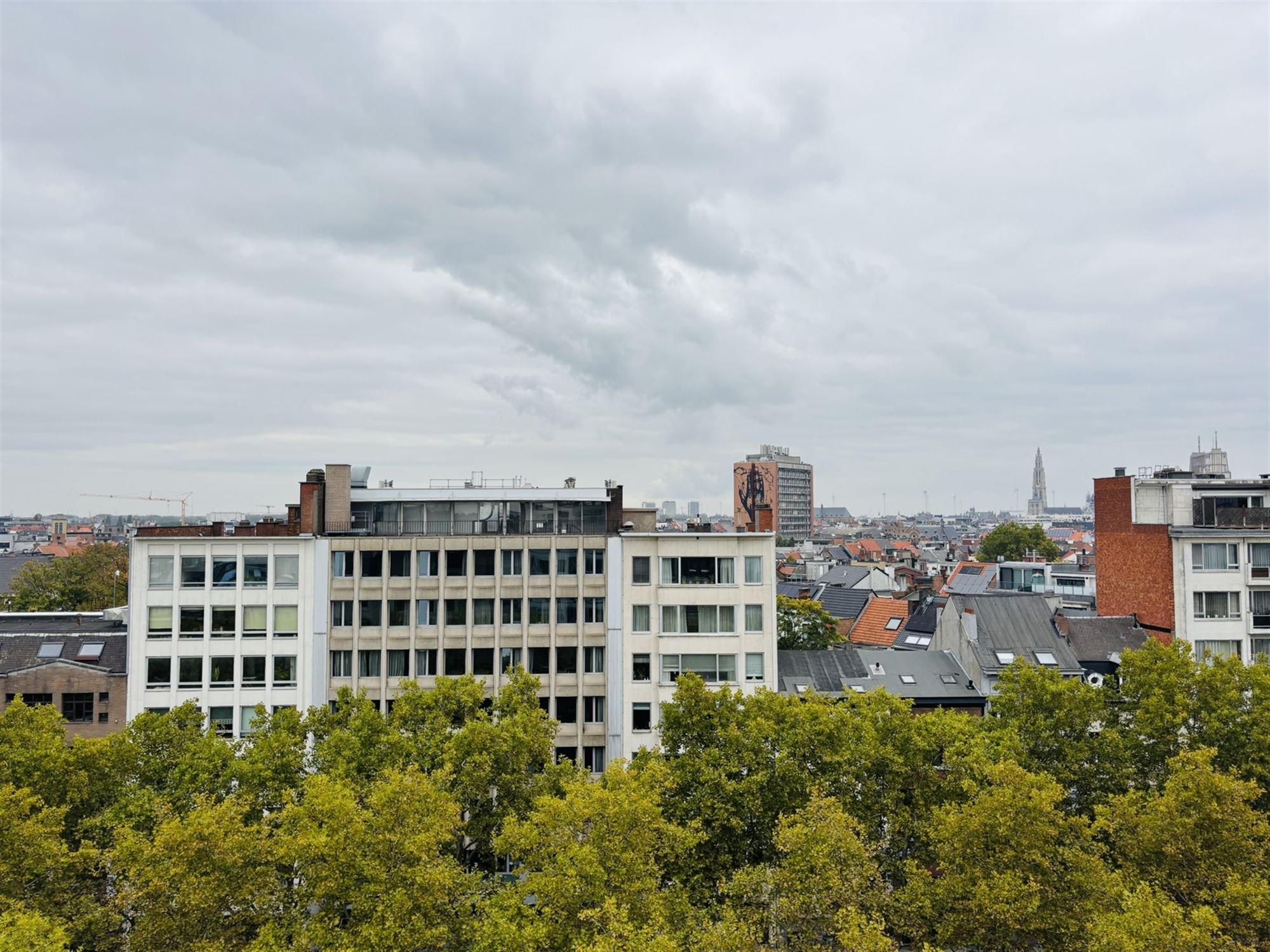 ()=>{if(producerUpdateValueVersion(node),producerAccessed(node),node.value===ERRORED)throw node.error;return node.value} Amerikalei 25-27/802 - 2000 ANTWERPEN