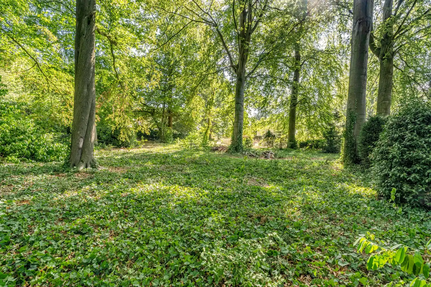 Uitzonderlijke villa met prachtig zuidgericht bouwperceel in residentieel Linden foto 15