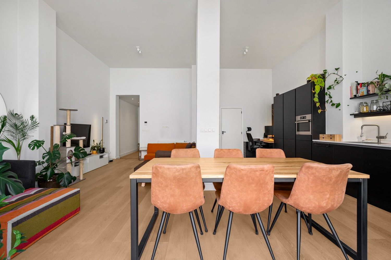 Prachtig gelijkvloers appartement met toffe stadstuin in Antwerpen! foto 6