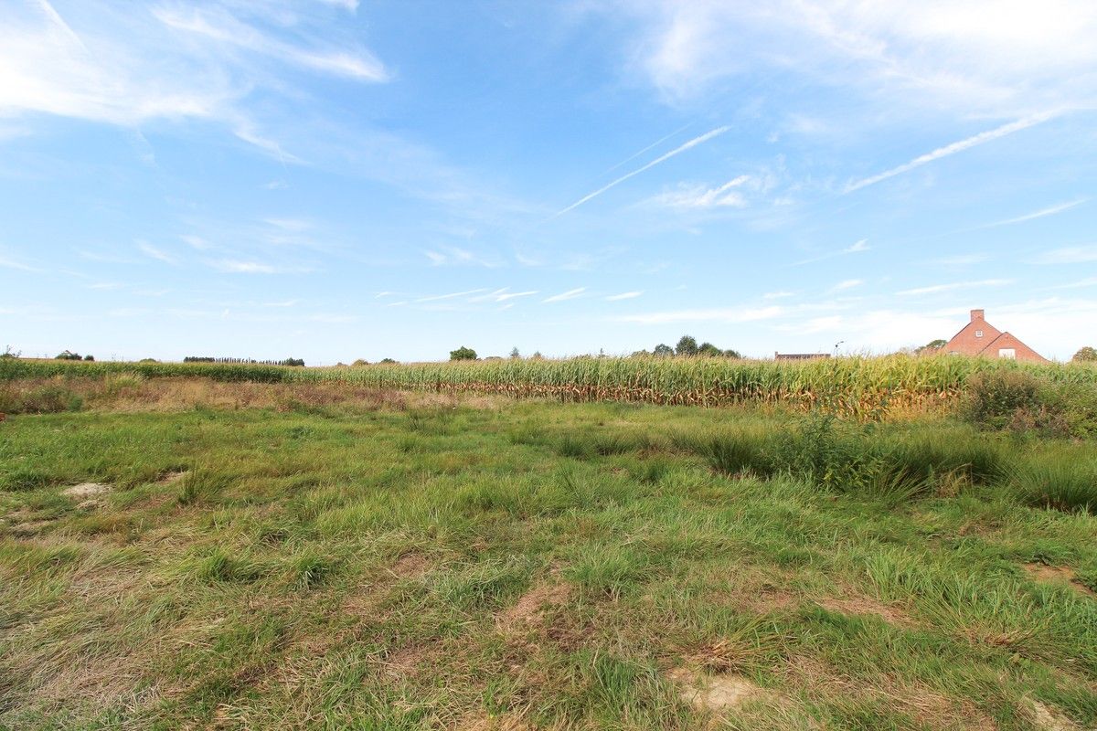 Twee ruime percelen bouwgrond, geschikt voor een open bebouwing nabij het centrum van Oekene. foto 3