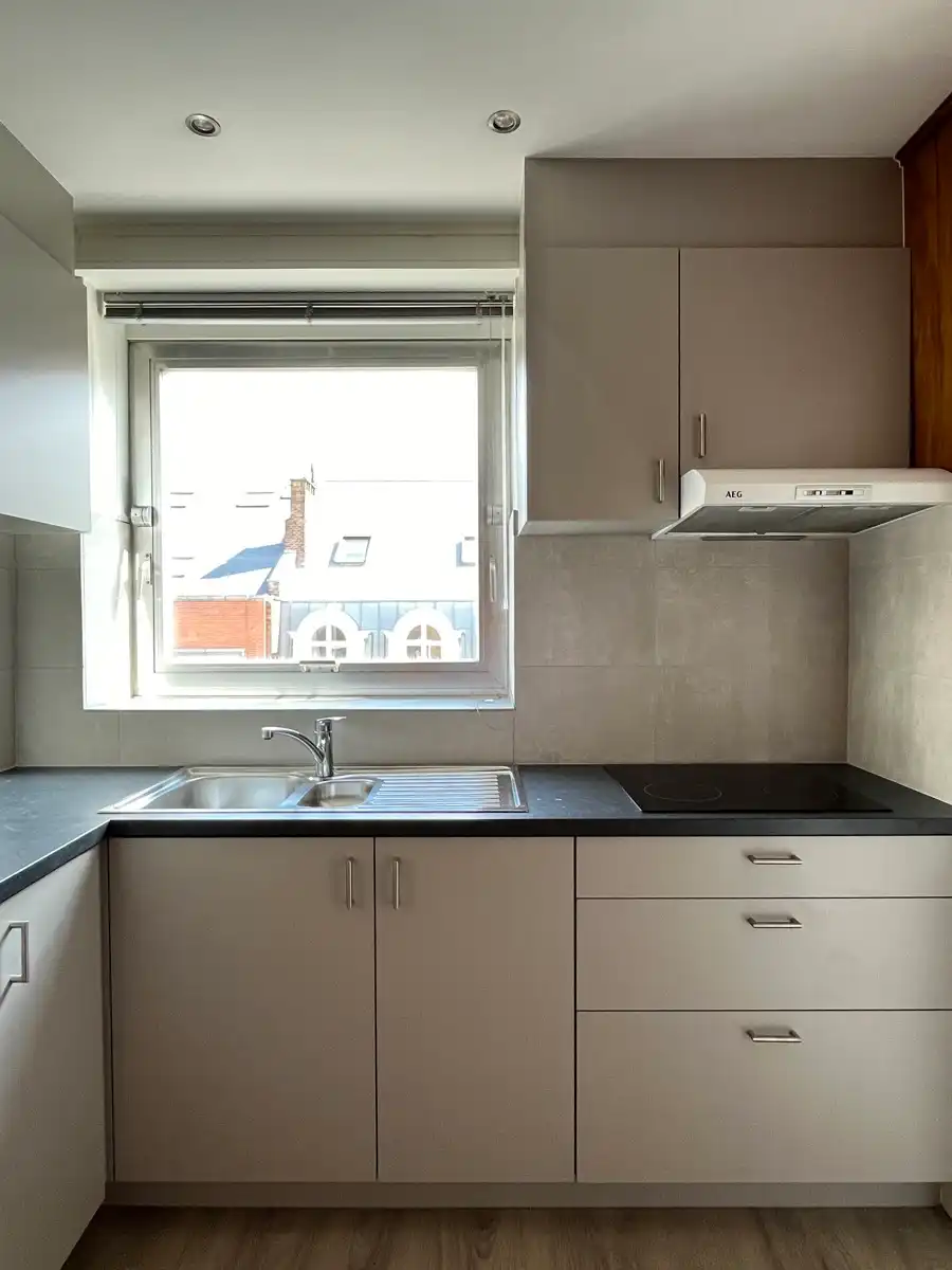 Gerenoveerd dakappartement in het centrum foto 8