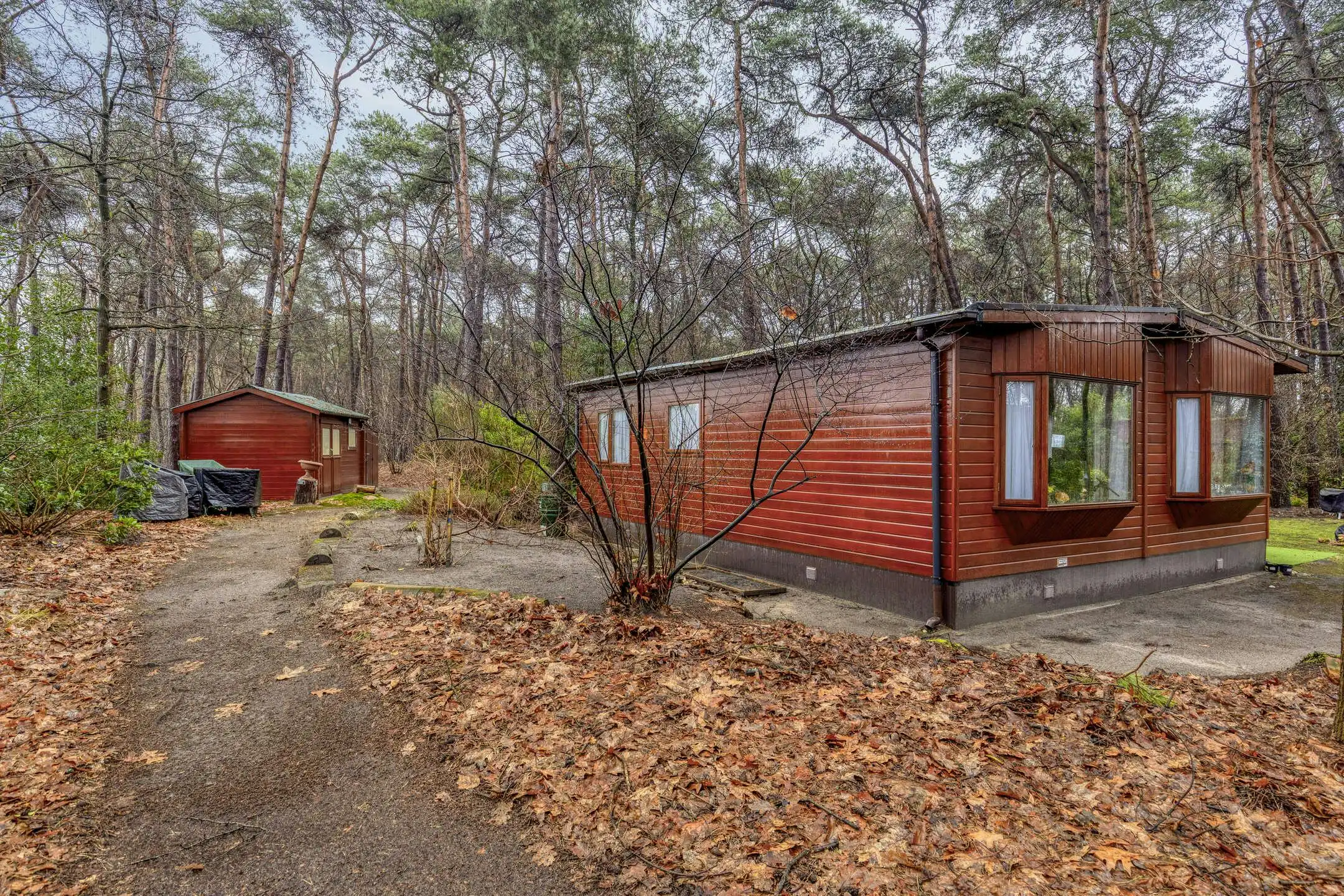 Verzorgde woning op prachtige bosgrond te koop in Wuustwezel foto 33