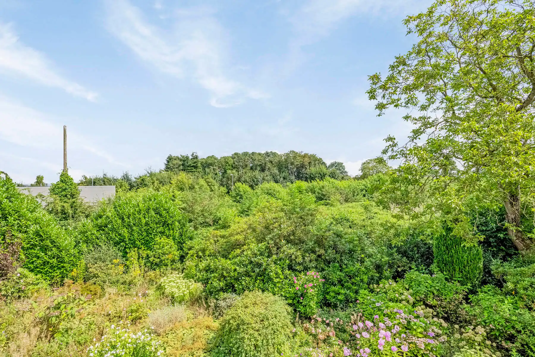 Duplex met 2 slaapkamers te Oud-Heverlee!  foto 2