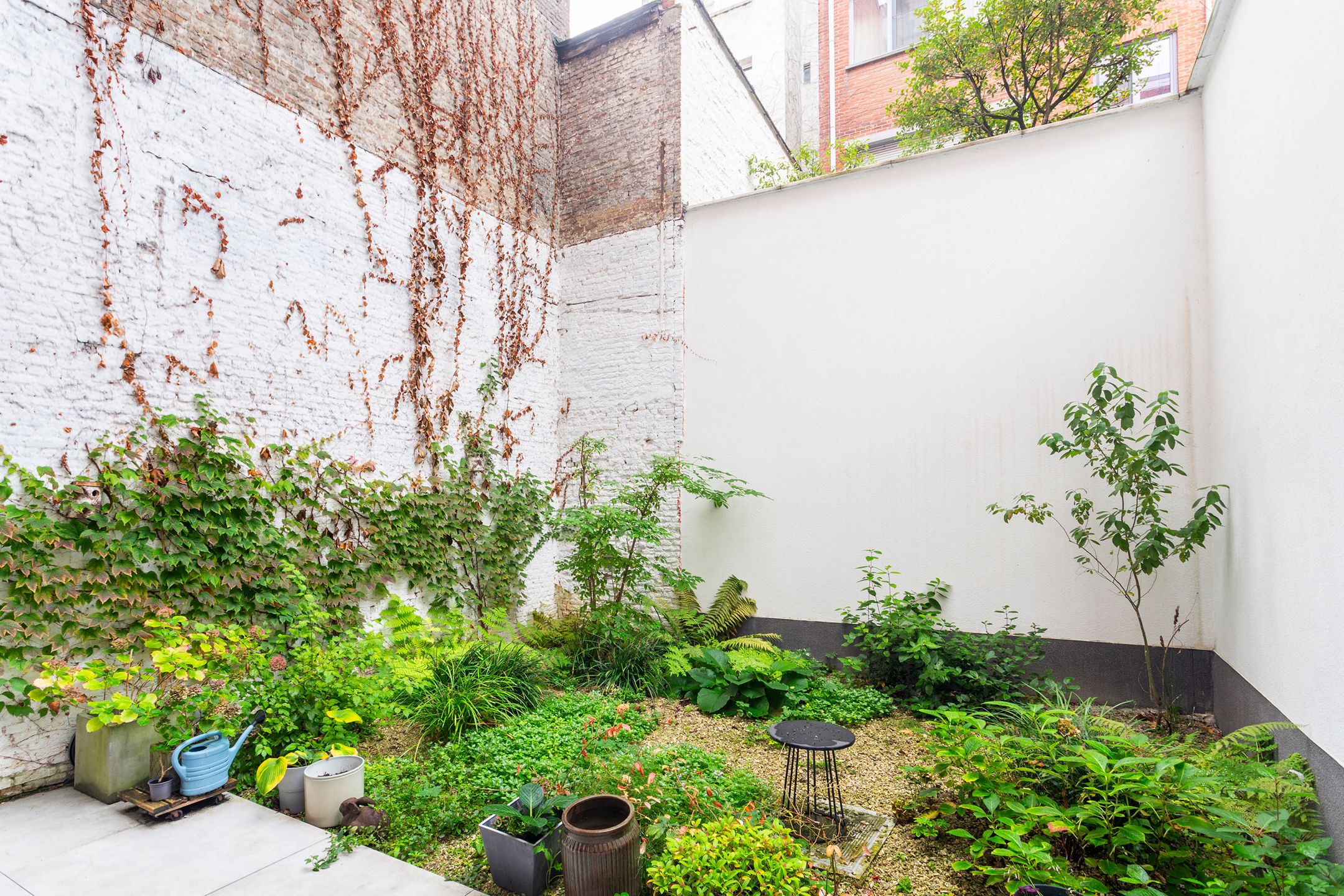luxueus gelijkvloers met stadstuin van ca 41 m² foto 4