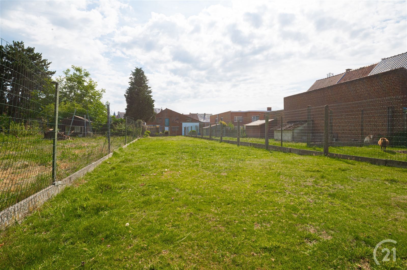 3 gevelwoning met loods (248m2) en garage foto 2