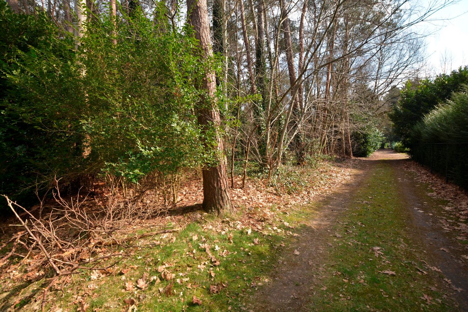 PERCEEL RECREATIEGROND VAN 1.118 m² foto {{pictureIndex}}