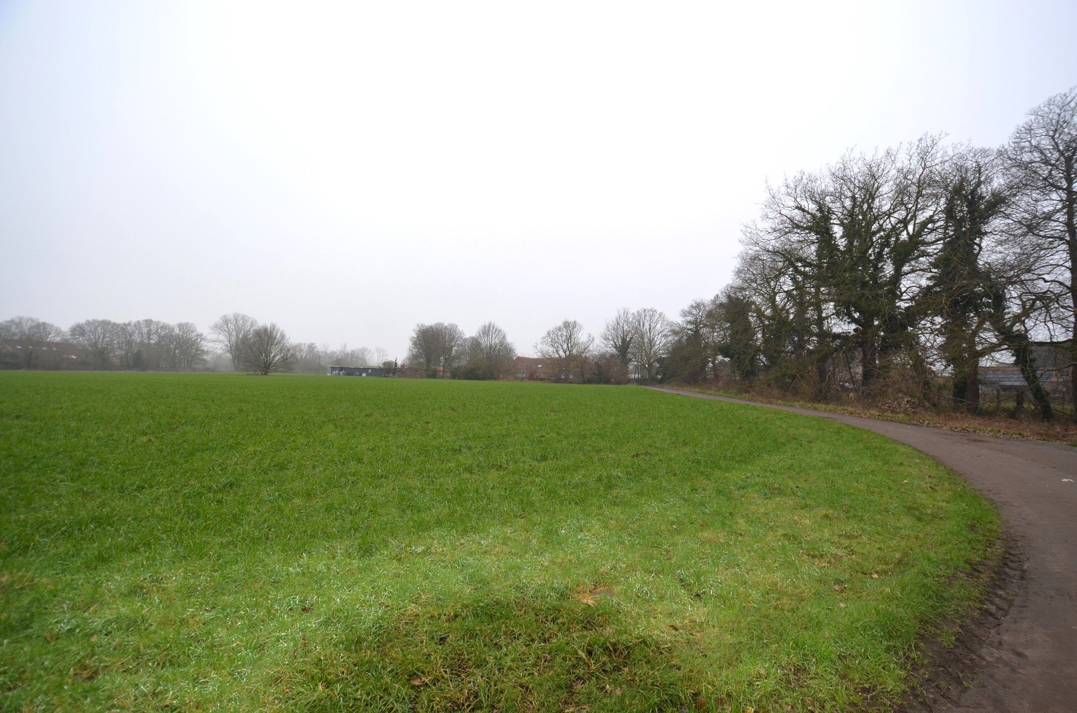 Mooi weiland foto 3