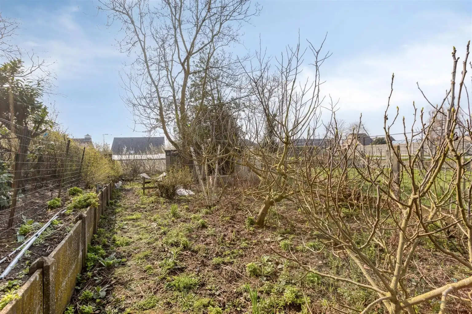 Charmante halfopen bebouwing met 3 slaapkamers, omheinde tuin en zonnepanelen, gunstig gelegen nabij het centrum van Maaseik. foto 29