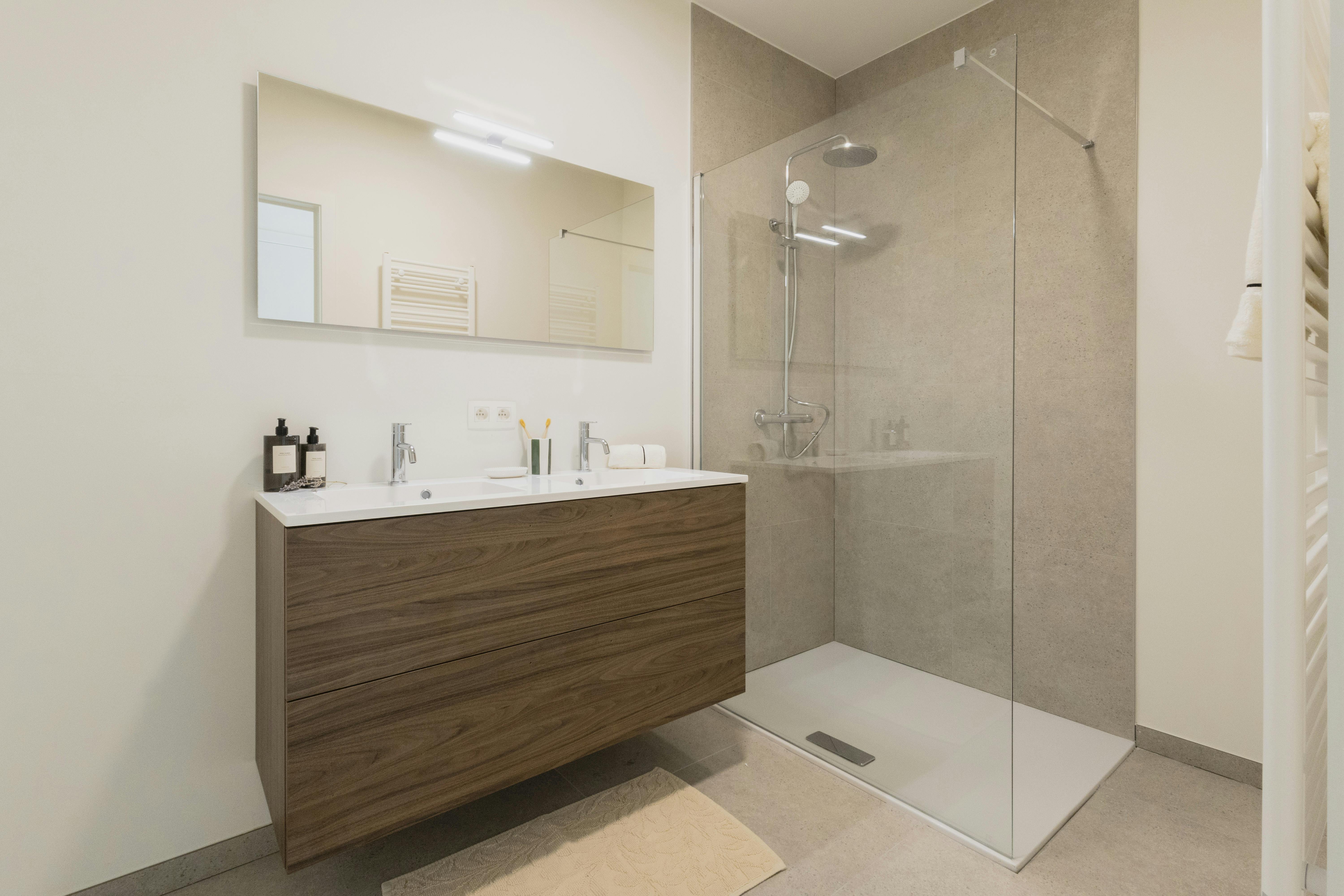 Albert & Jerome te koop in Desselgem foto 8