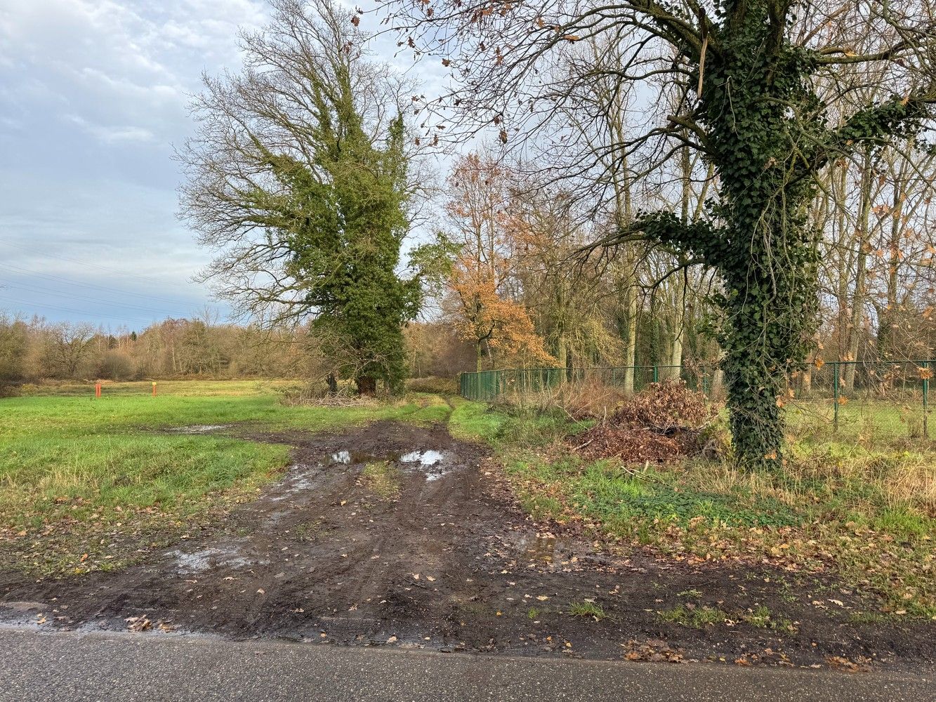 Bosgronden te Lummen foto 8