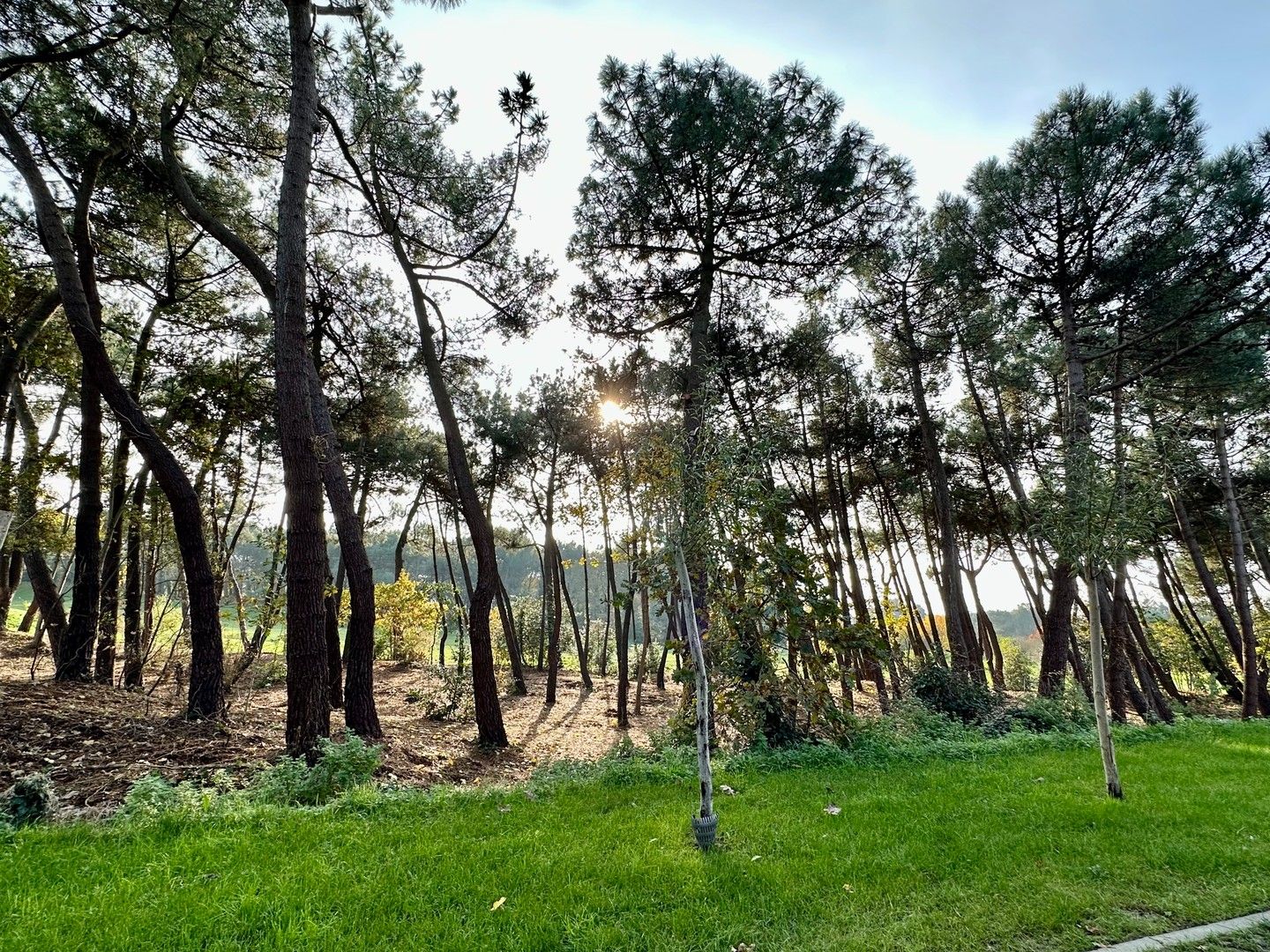 Zeldzame eigendom met prachtig zicht naar de Royal Zoute Golf, aan de hole 15. foto 11