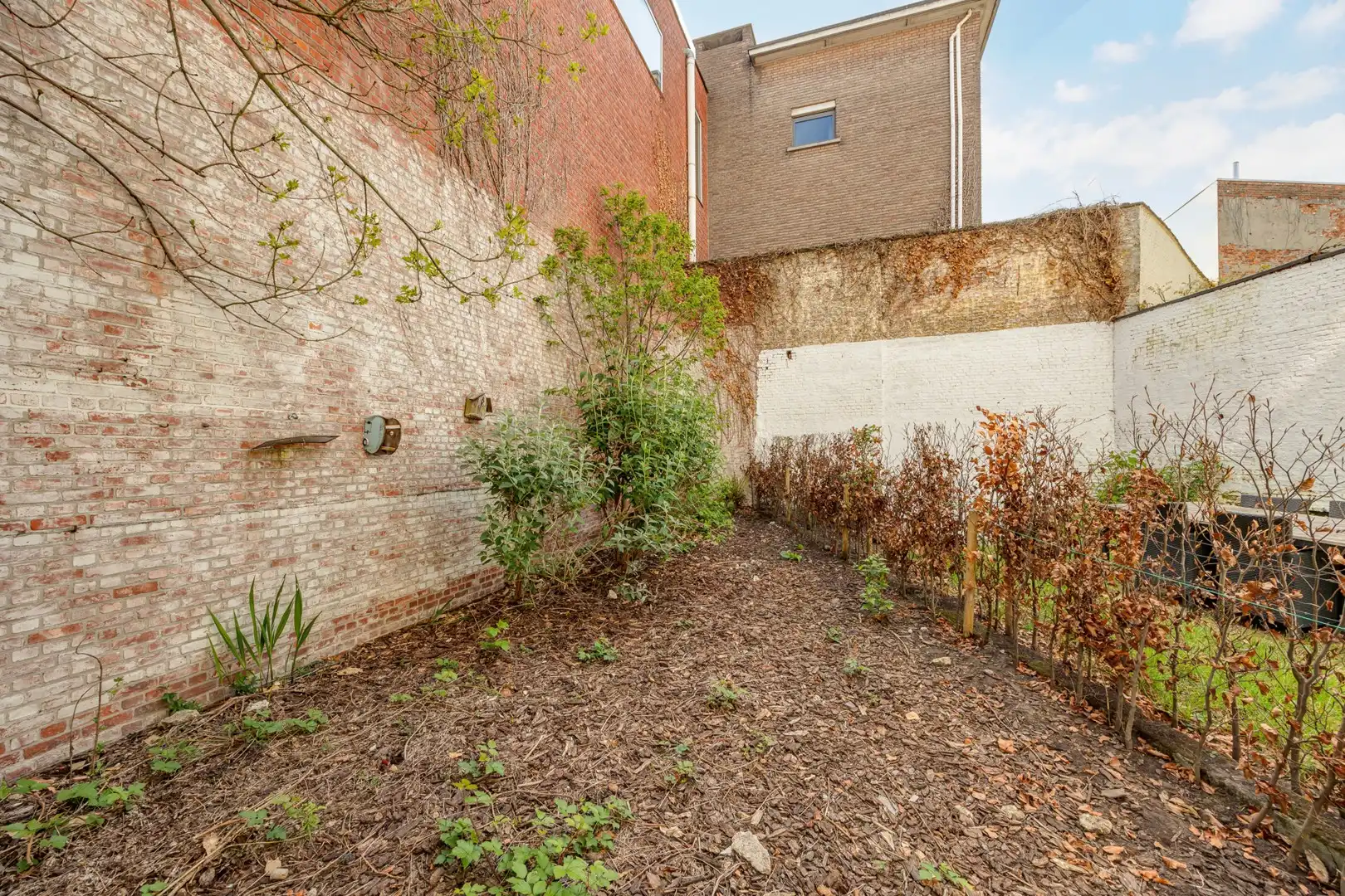 APPARTEMENT MET TUIN foto 2