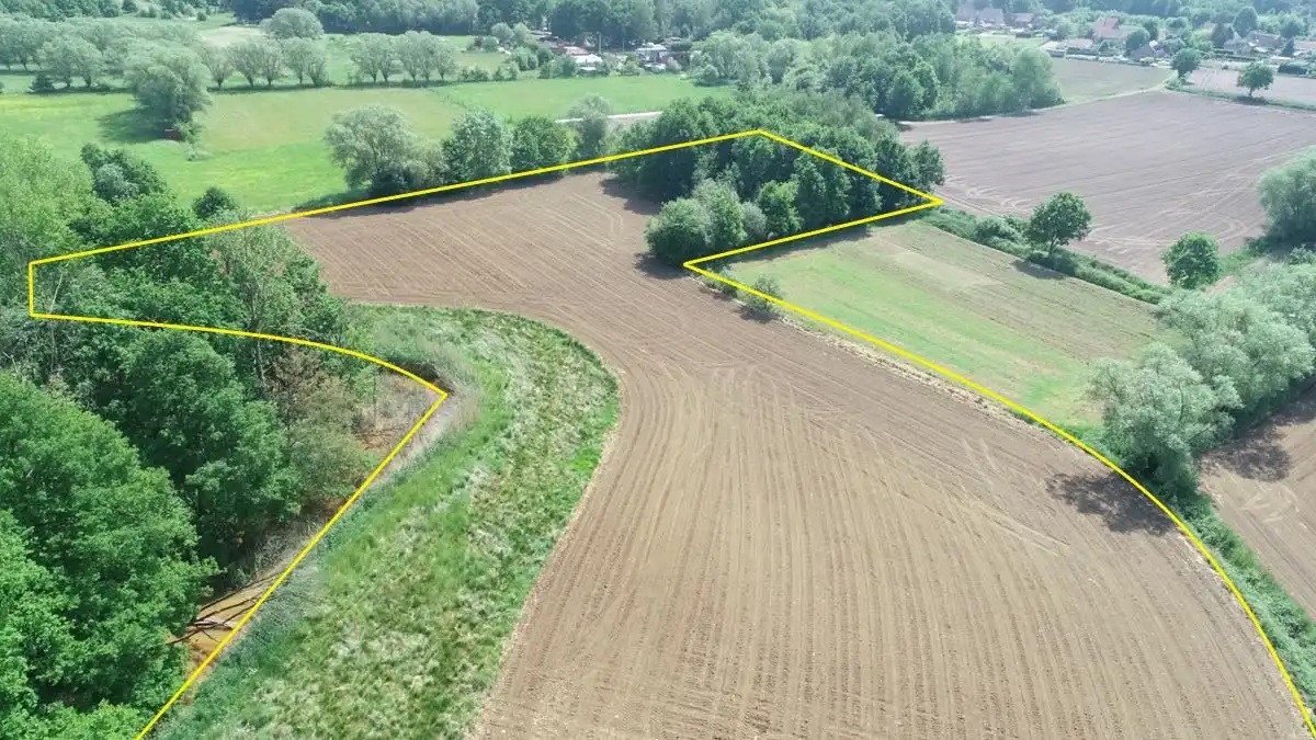 Landbouwgrond te koop foto {{pictureIndex}}