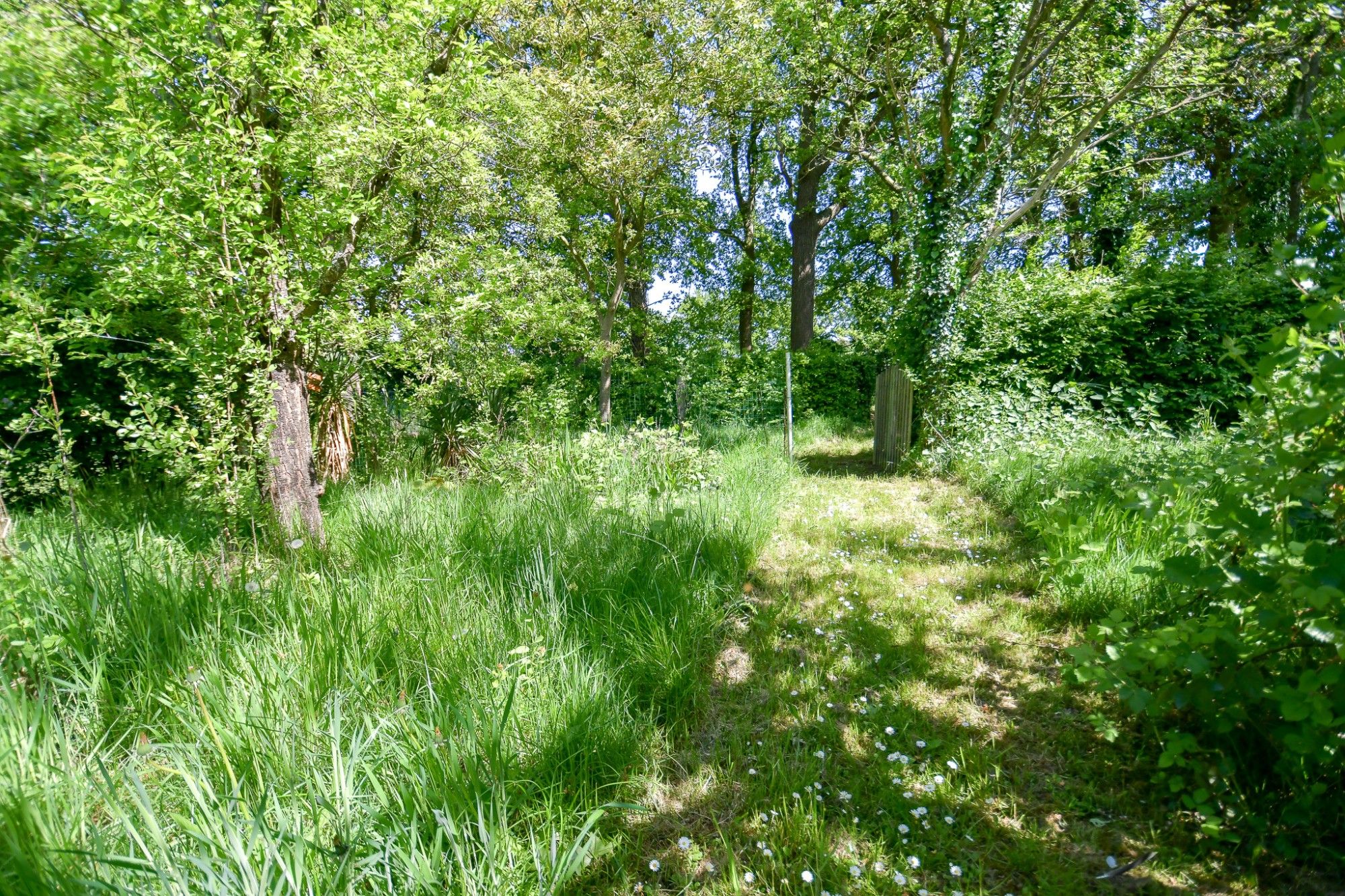 Woning en bijgebouw met prachtige idyllische tuin en uitweg op 2034 m² foto 24