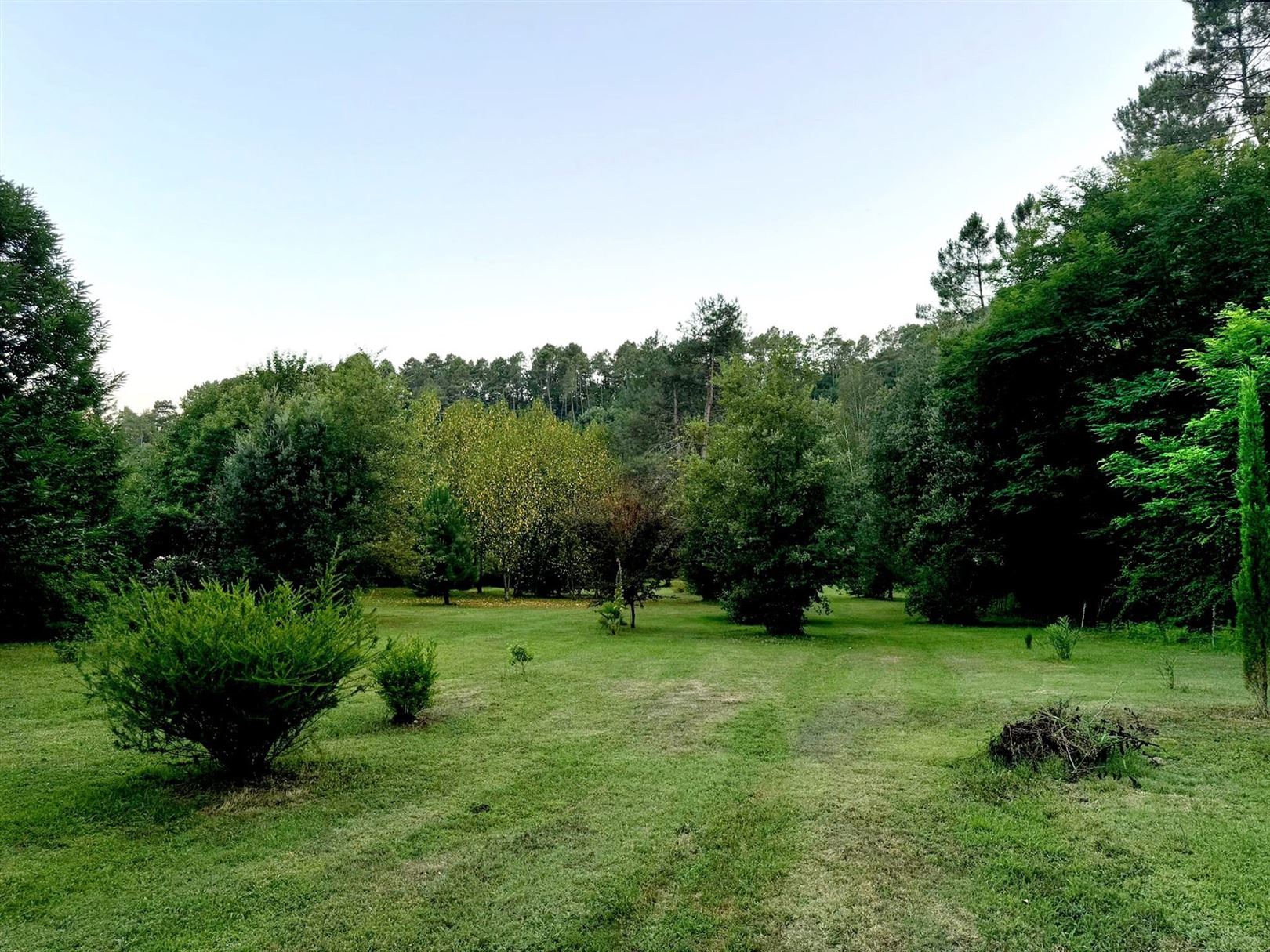 Unieke eigendom te Gard (Occitanië) op 1 ha 26 are 12 ca - ideaal geschikt vpoor uitbating B&B - Glamping - verwarmd zwembad  foto 9