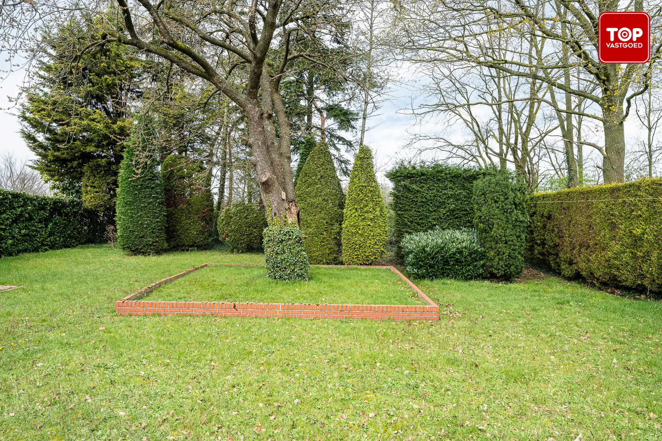 Huis te koop foto 20