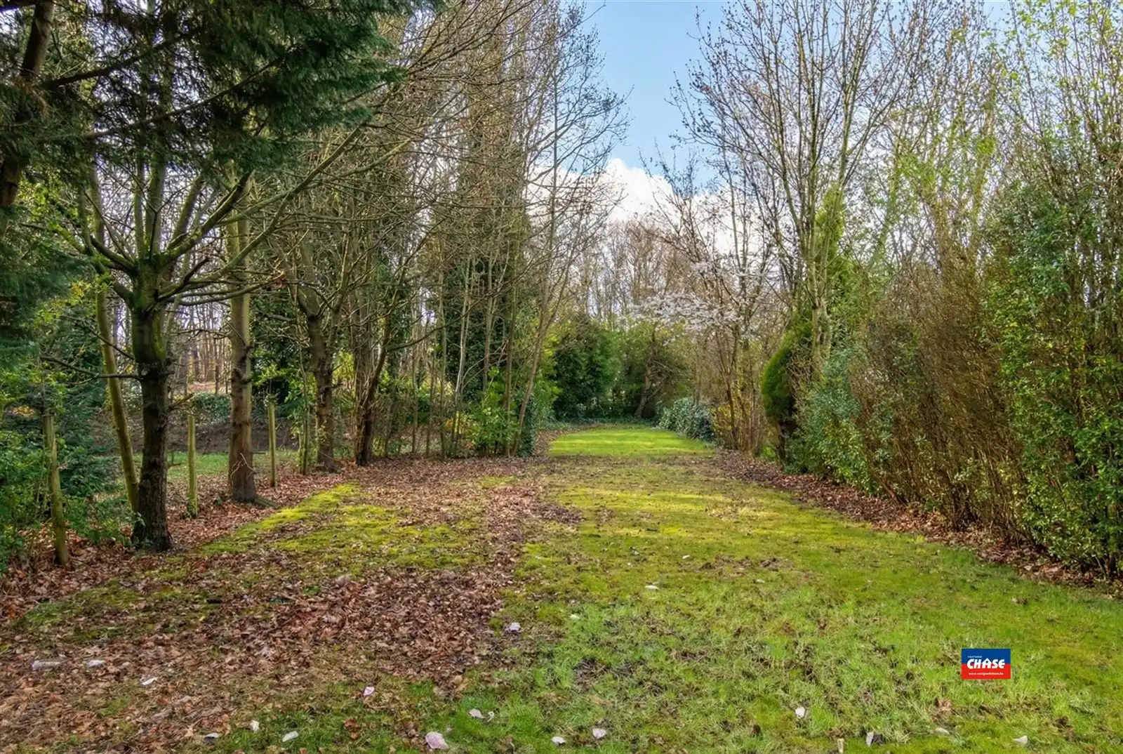 Halfopen gezinswoning met 3 slaapkamers, grote tuin én garage foto 19