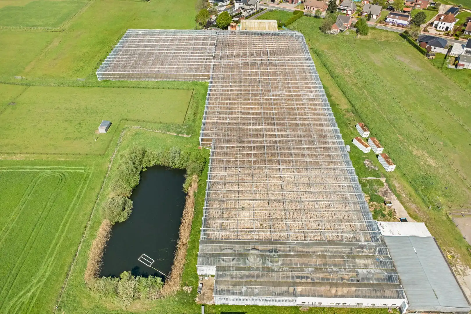 Serrecomplex met agrarische grond en magazijn foto 2