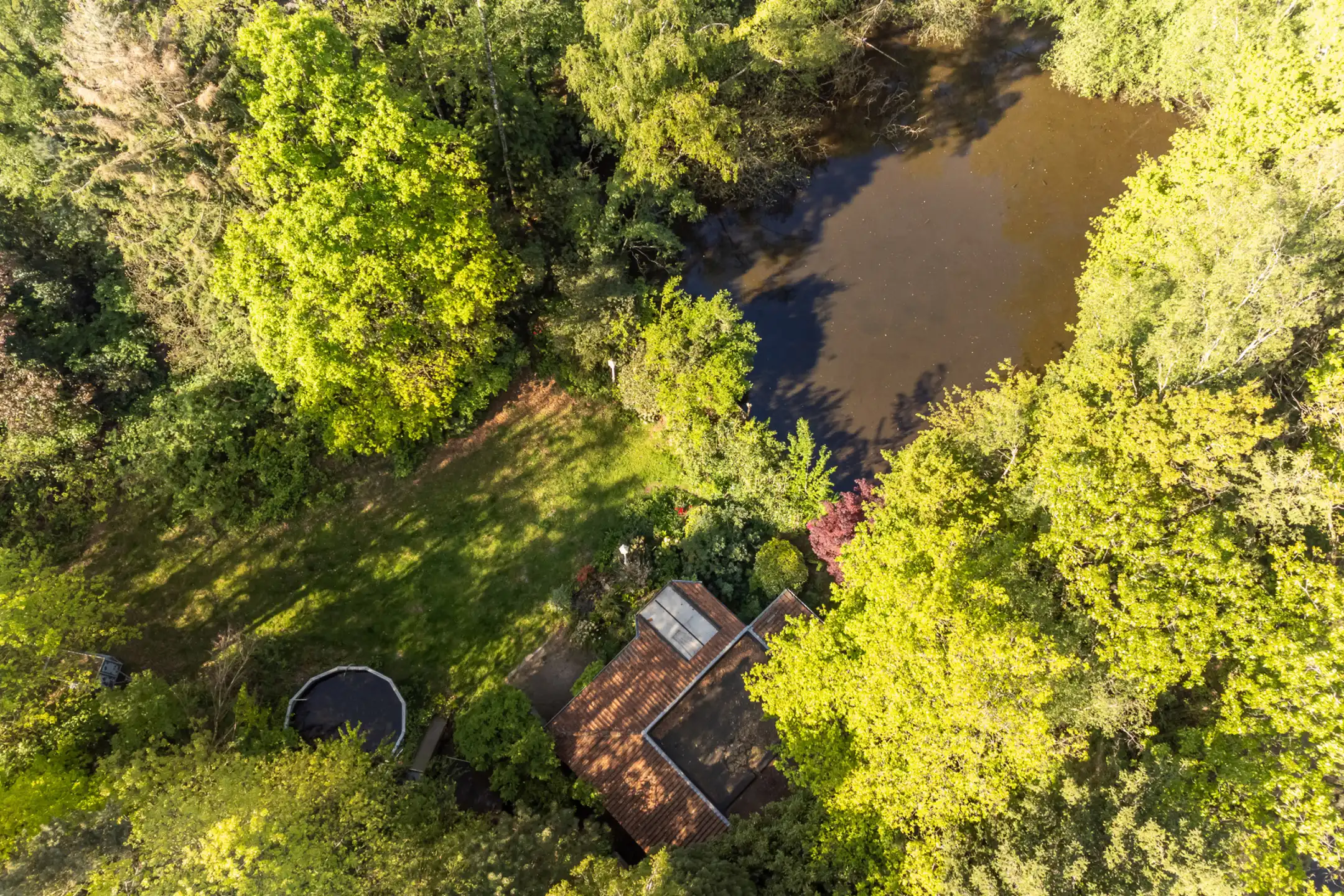 Gezellige, op te frissen, vakantiewoning nabij het kanaal Dessel-Schoten. foto 40