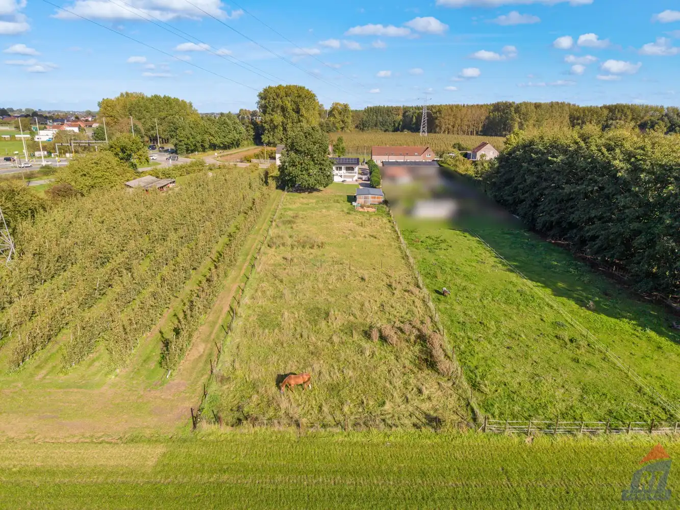 Ruime gelijkvloerse woning op een prachtig perceel van 35a 50ca met weide en stal in Alken foto 29