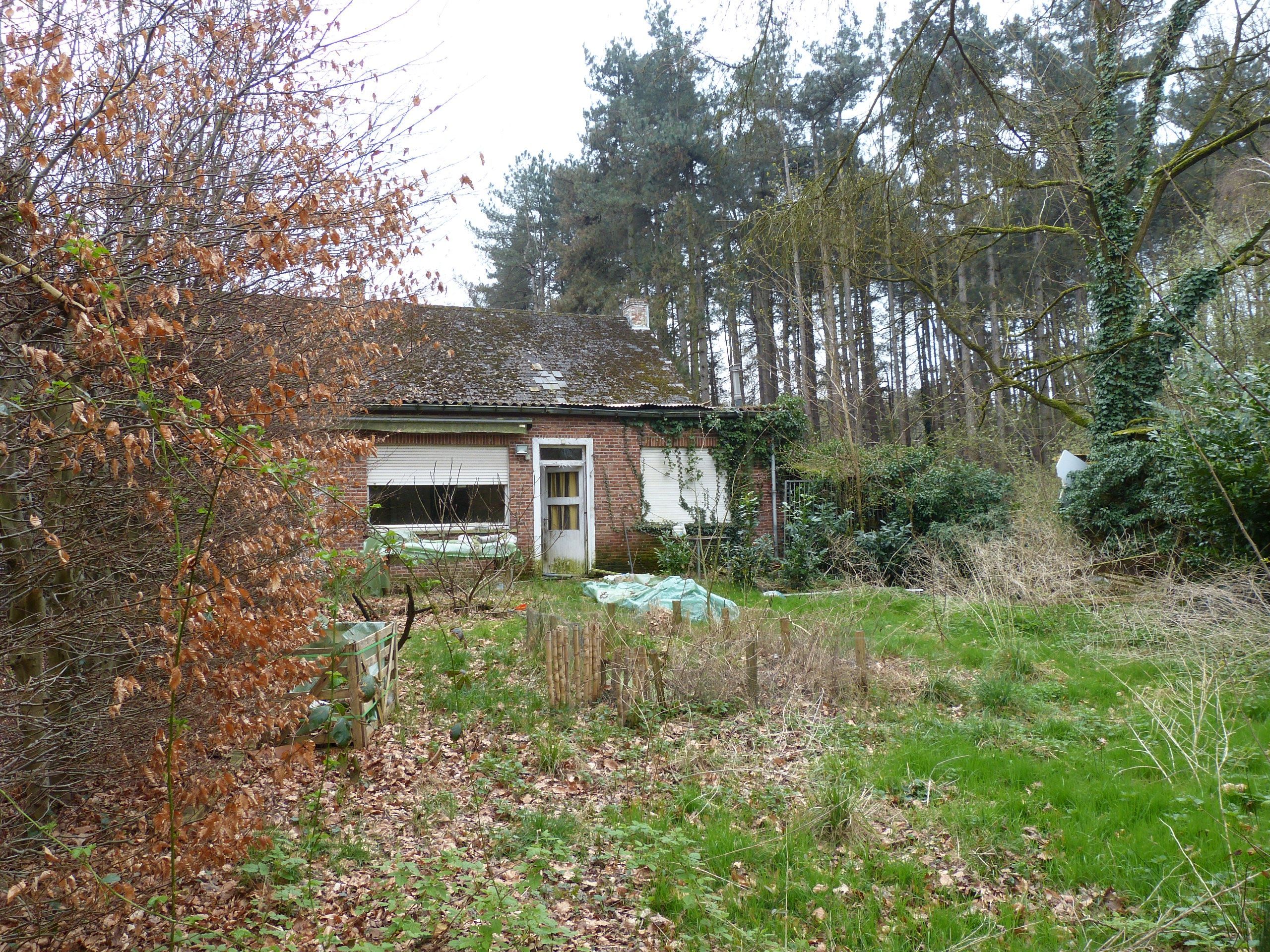 Langgevel hoeve Te Koop foto 5