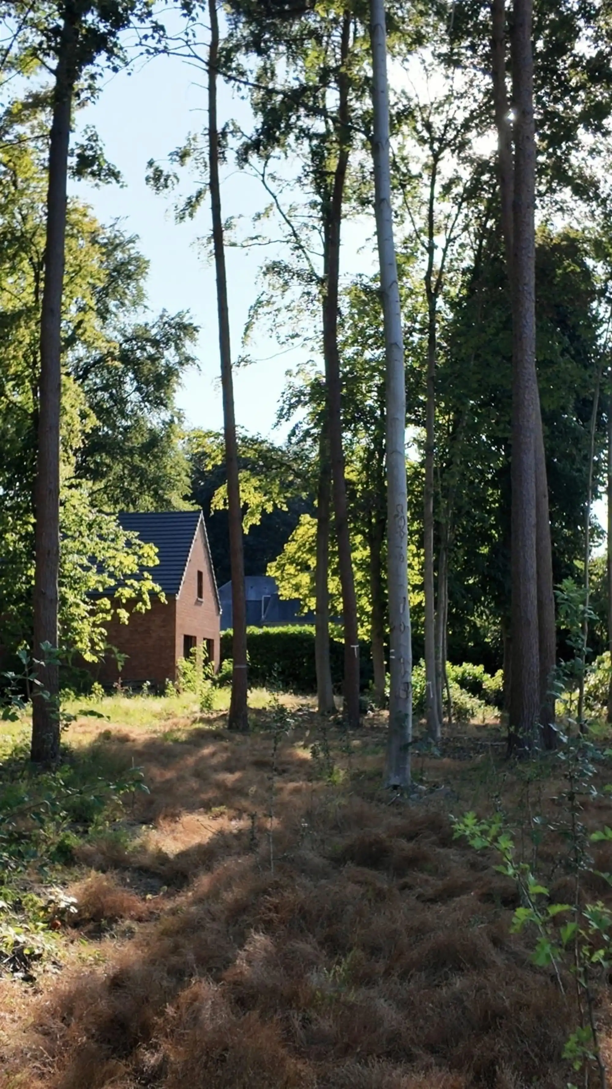Bouwgrond op een uitzonderlijke locatie in Oud-Heverlee foto 7