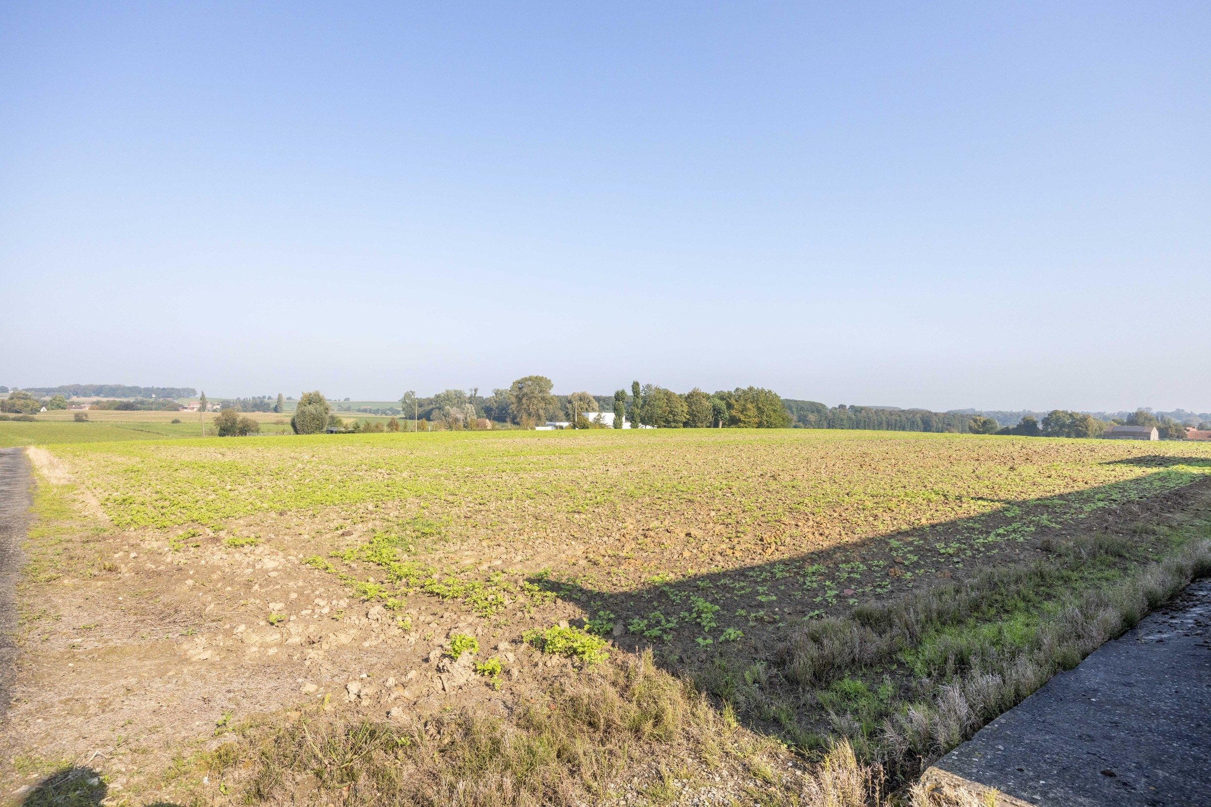 UNIEKE LANDEIGENDOM OP 2,1 HA foto 13