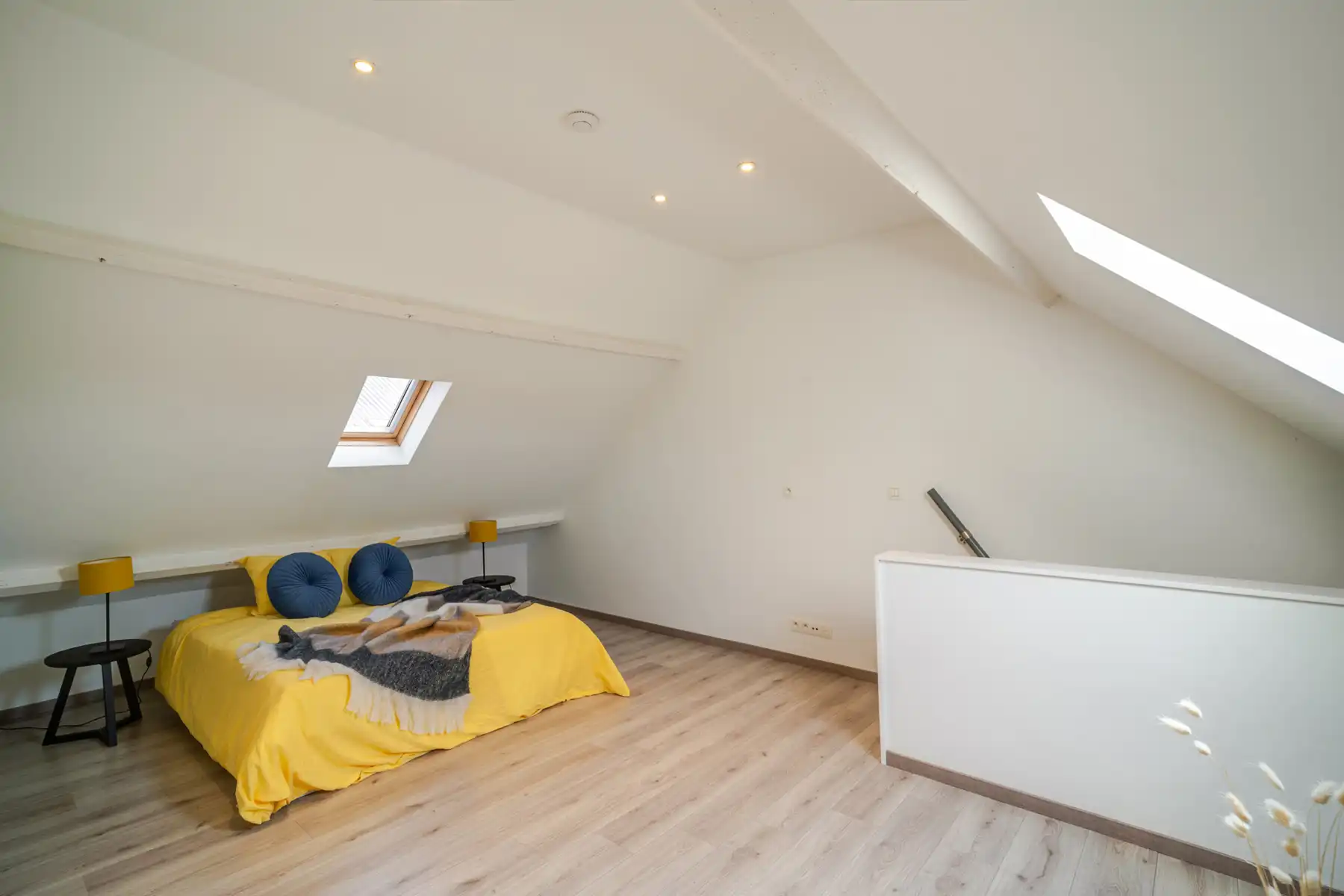 Huis te koop foto 10