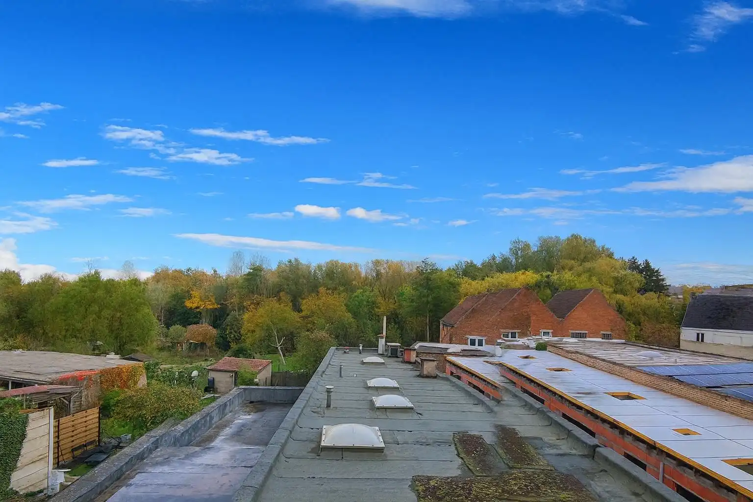 Dit veelzijdige pand met een grondoppervlakte van 240 m² combineert een ruime commerciële gelijkvloerse verdieping met een comfortabel appartement op de eerste verdieping. foto 6