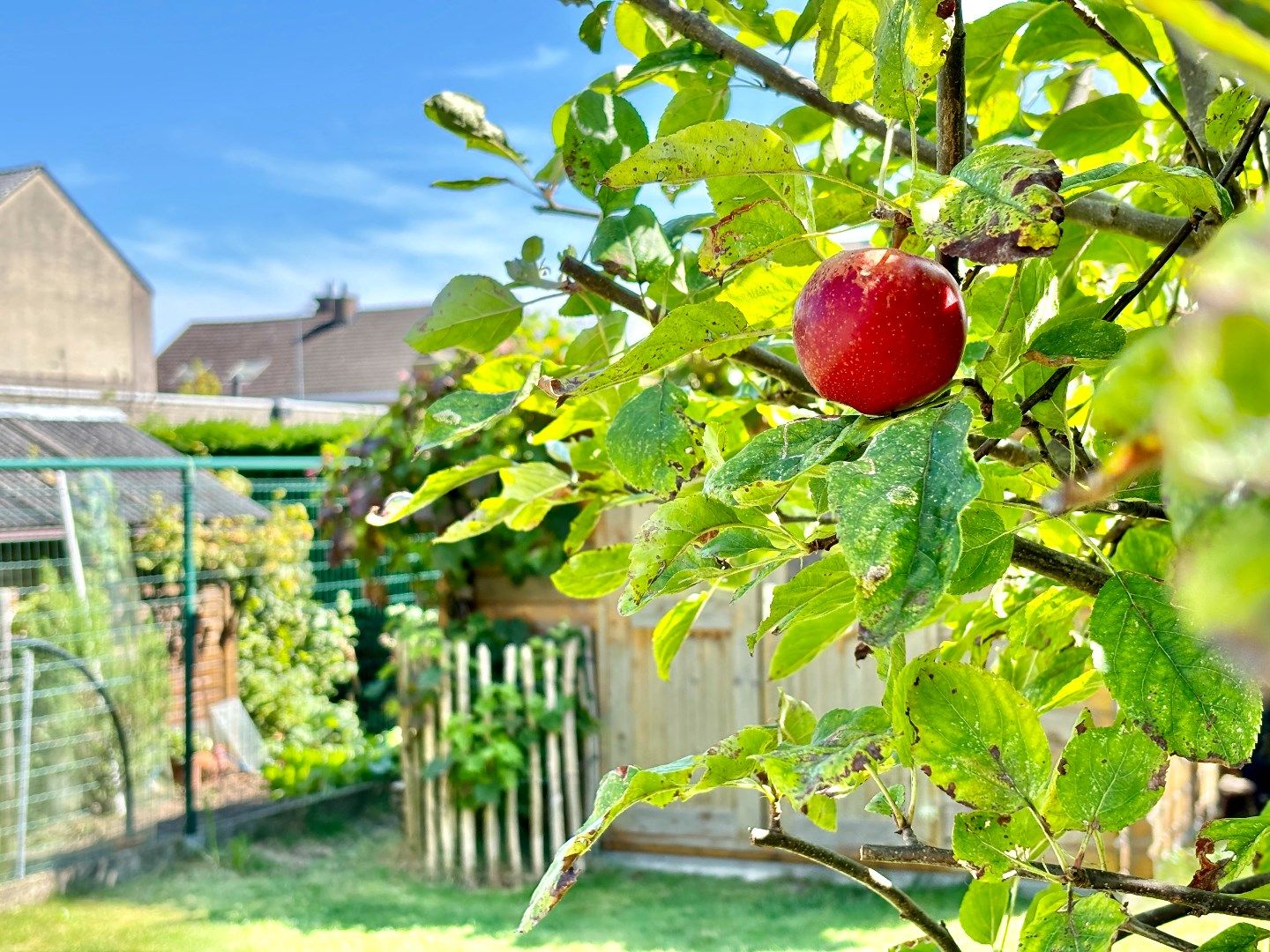 Instapklare rijwoning met 4 slaapkamers en een zonnige tuin. foto 9