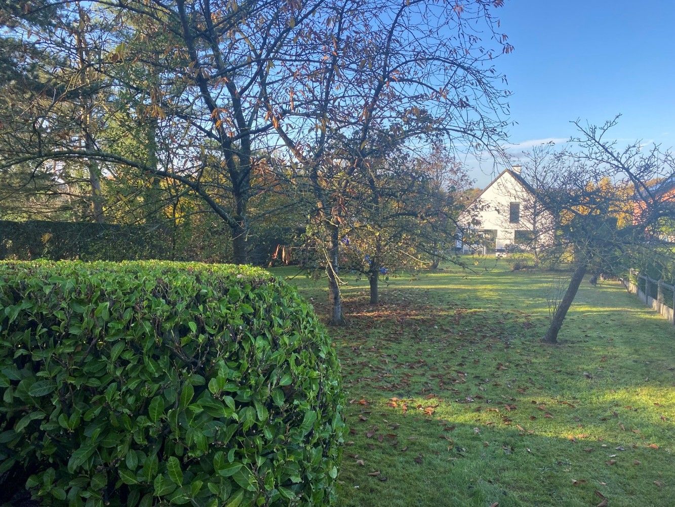 Comfortabel wonen in het groen: ruime alleenstaande woning op uitzonderlijk perceel foto 26