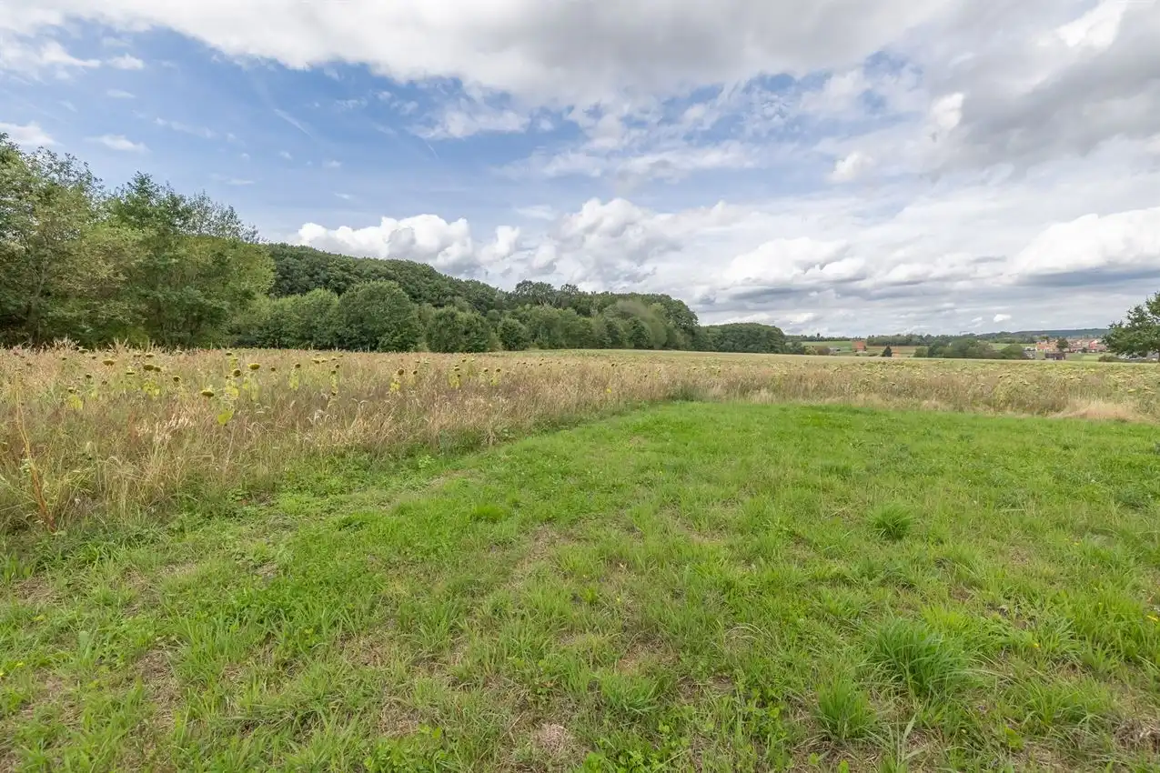 Te renoveren boerderij met 2 weides (45a en 21a) en ruime hangaar foto 34