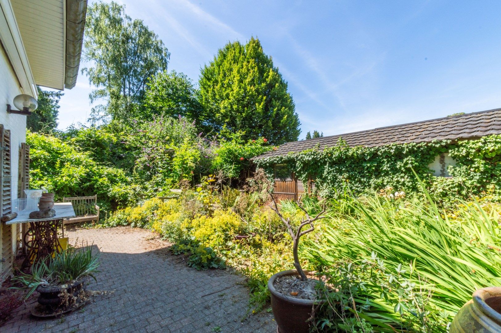 TE MODERNISEREN VILLA MET 4 SLP, GARAGE & ZUID-TUIN! foto 4