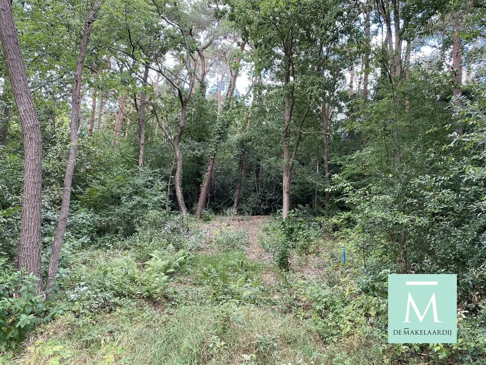 Prachtige bouwgrond van 7 are voor open bebouwing te Keerbergen foto 6