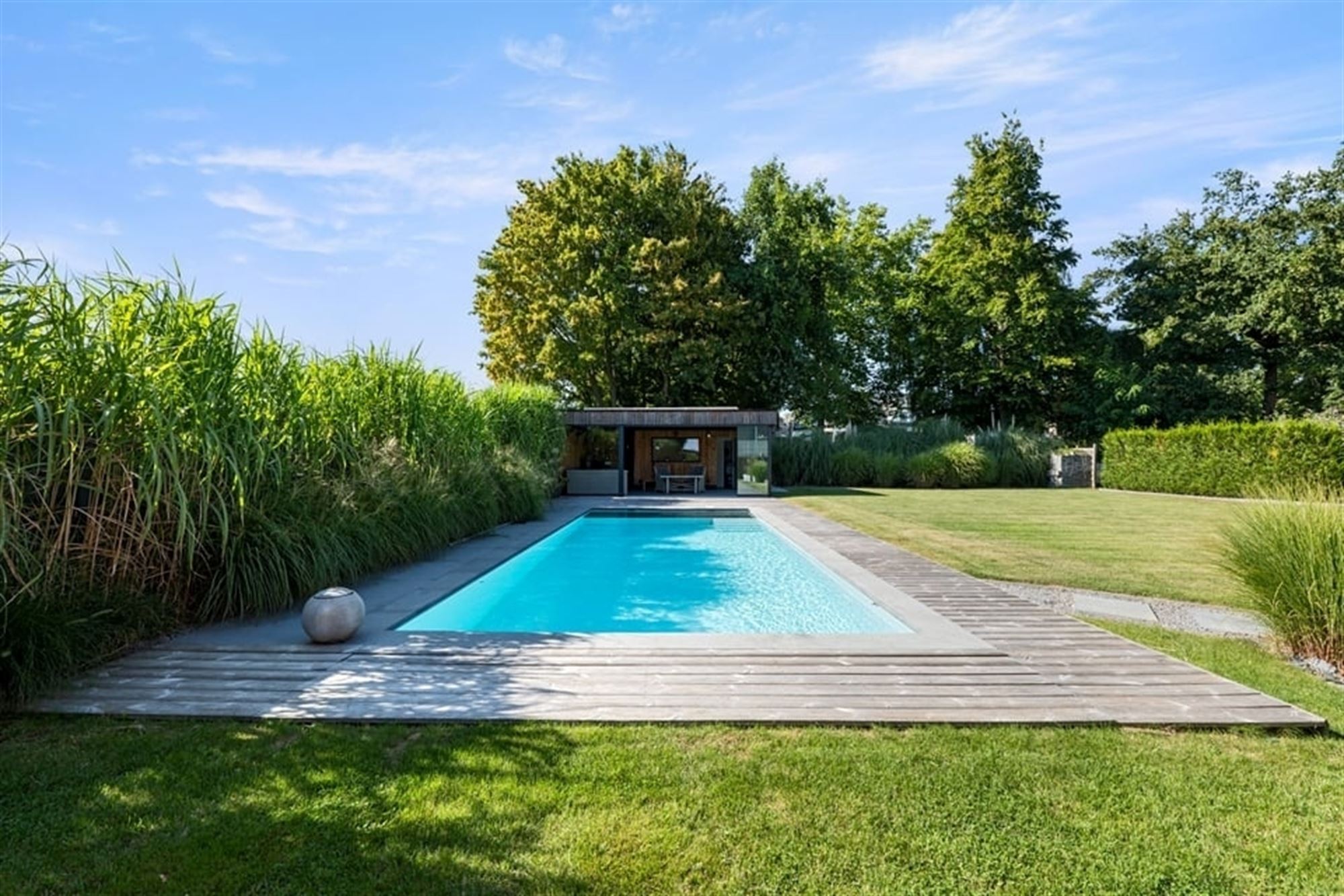 PRACHTIGE GEZINSWONING MET ZWEMBAD EN POOLHOUSE IN SINT-TRUIDEN  foto 6