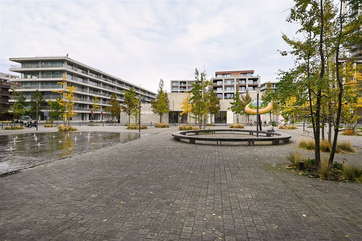 Gemeubeld appartement met 2 terrassen en Scheldezicht foto 30