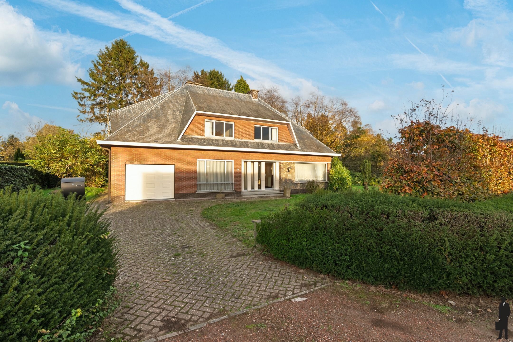 Hoofdfoto van de publicatie: Te renoveren villa met weiland en verkavelingspotentieel