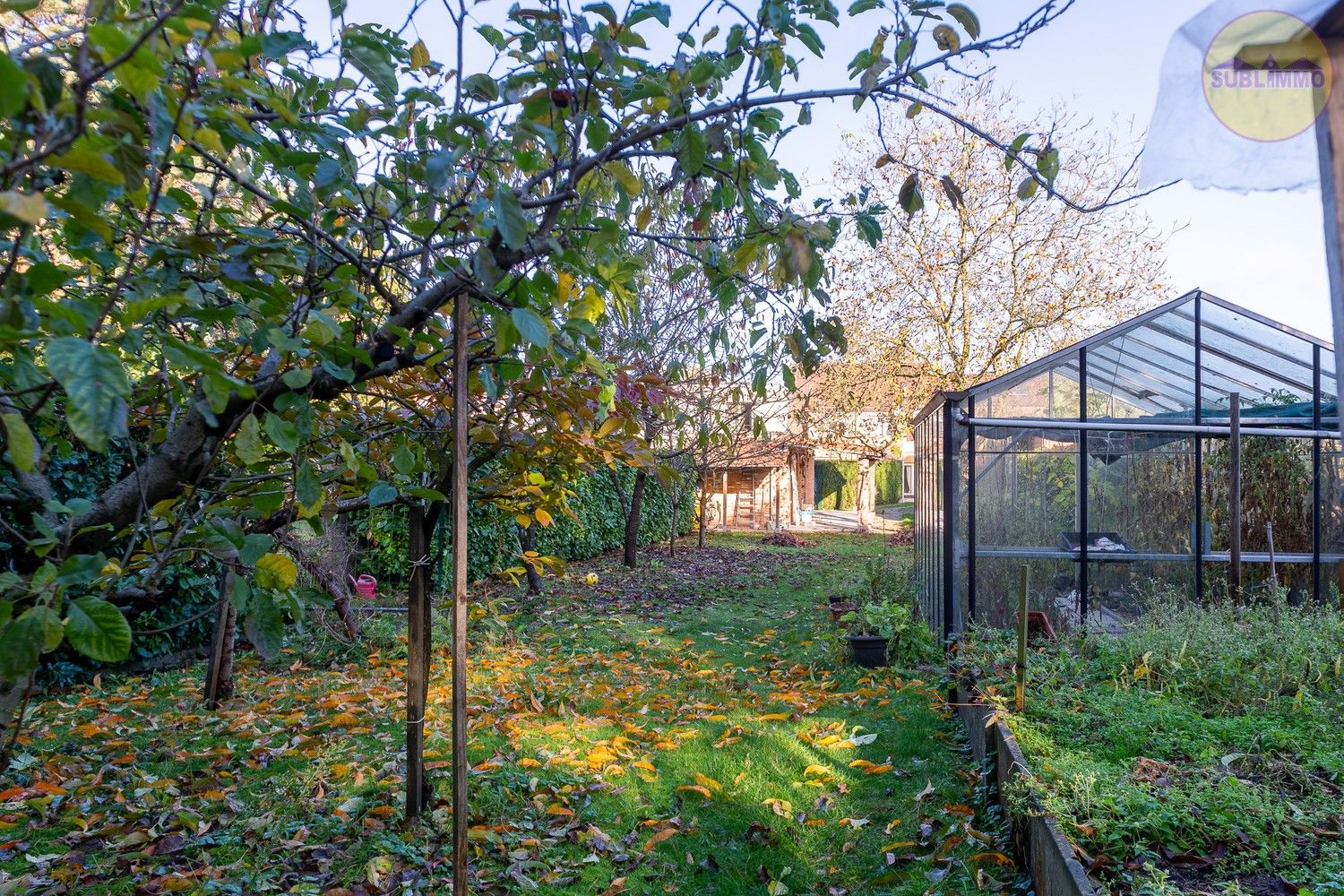 Ruime woning met afzonderlijk appartement op een perceel van 858 m² in Mol. foto 31