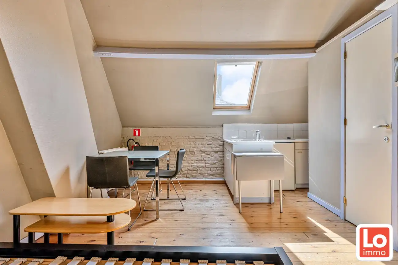 Opbrengsteigendom met 4 studio's/studentenkamers op een topligging bij het Rabot foto 16