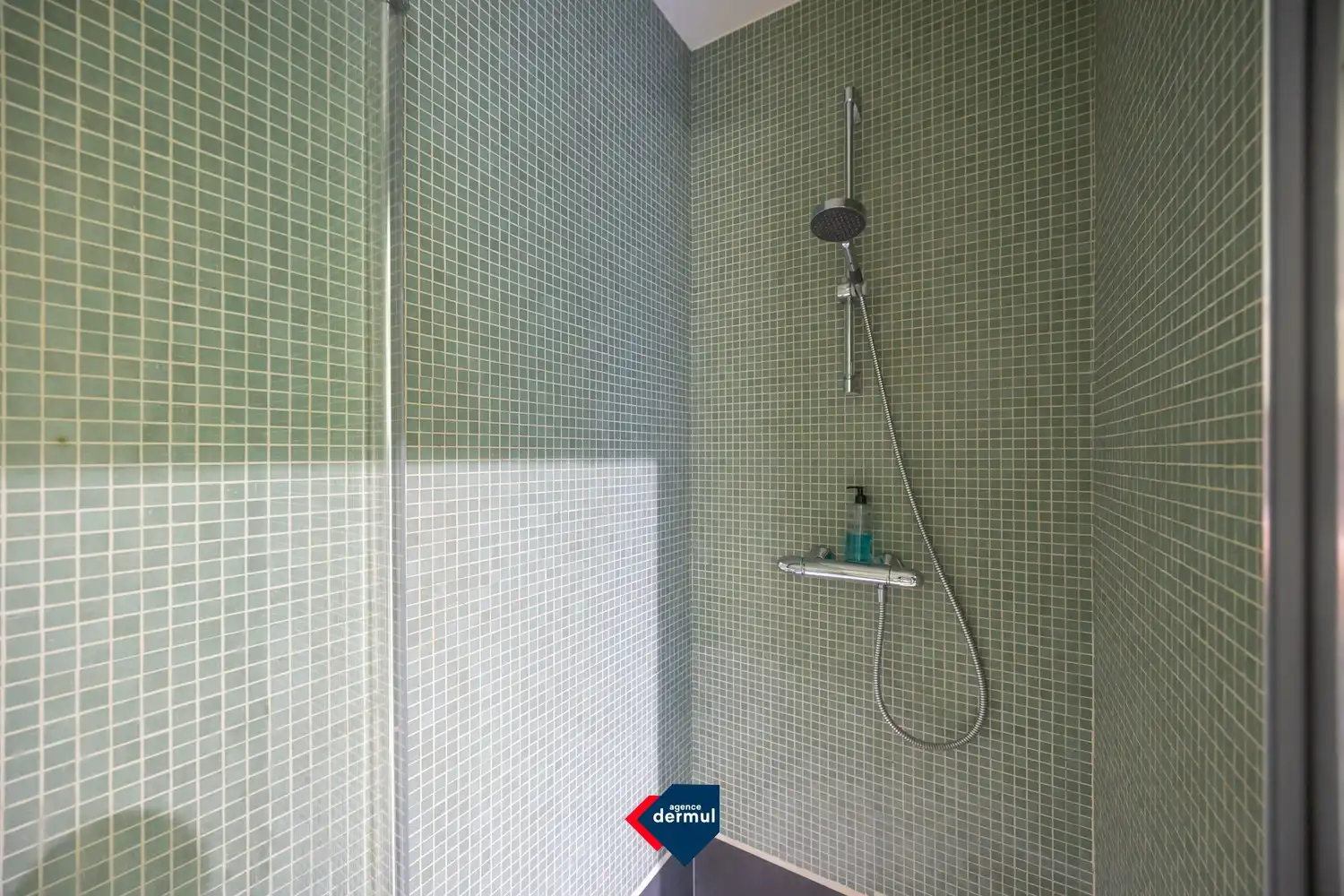 RESIDENTIE MERCATOR foto 19