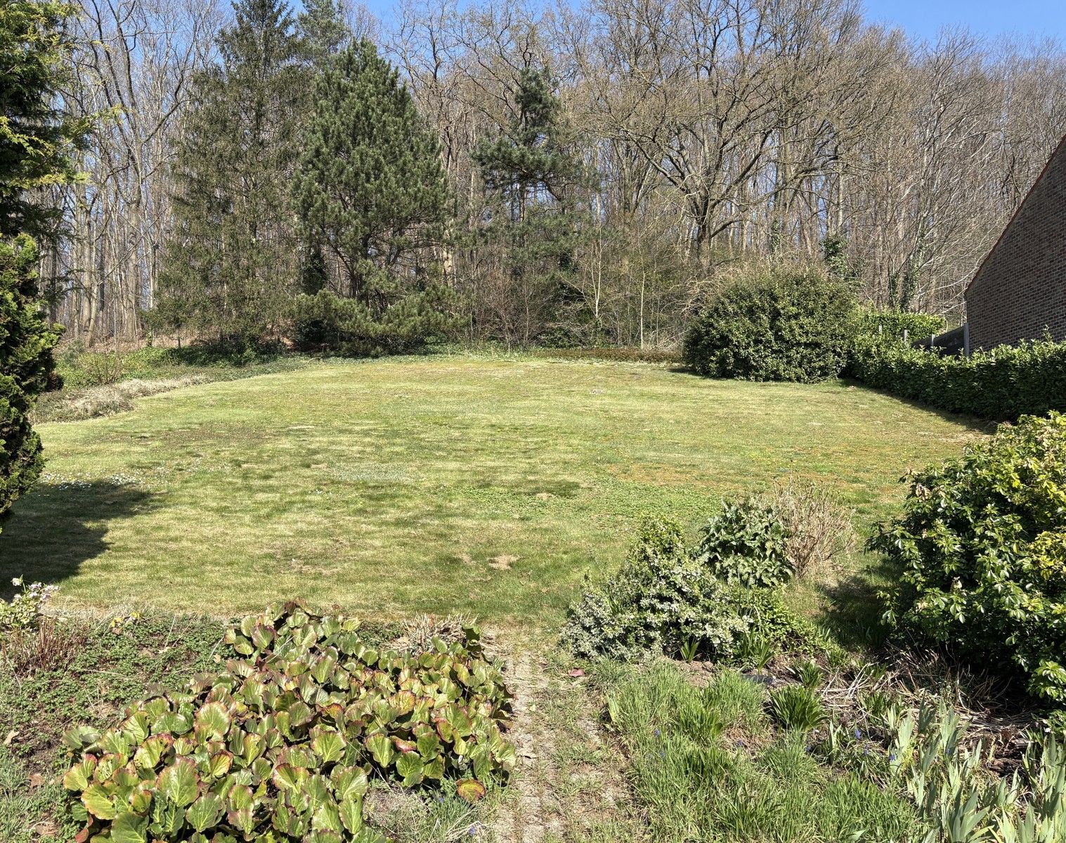 ()=>{if(producerUpdateValueVersion(node),producerAccessed(node),node.value===ERRORED)throw node.error;return node.value} Dellestraat 12 - 3220 Holsbeek