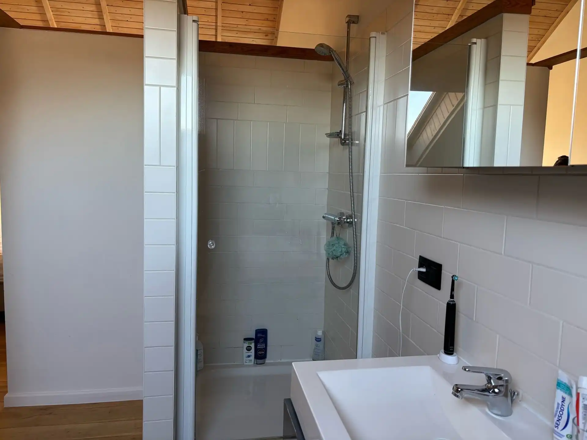 SERSKAMP - Luxueuze loft met groot terras. foto 11