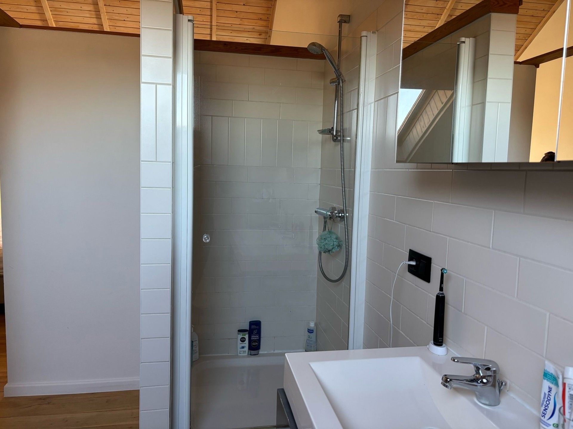 SERSKAMP - Luxueuze loft met groot terras. foto 11