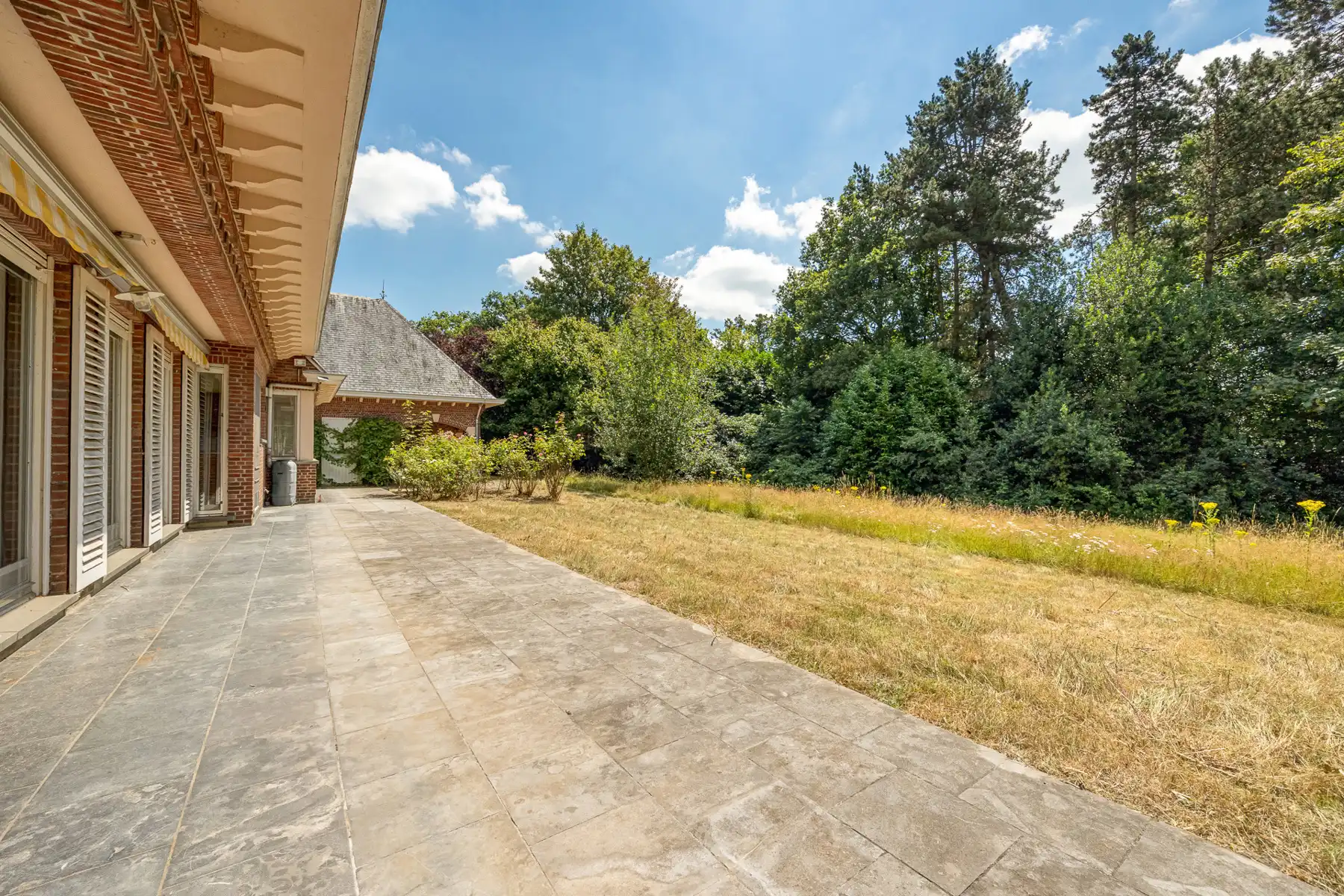 UNIEK PAARDENDOMEIN OP 28.870 M² foto 19