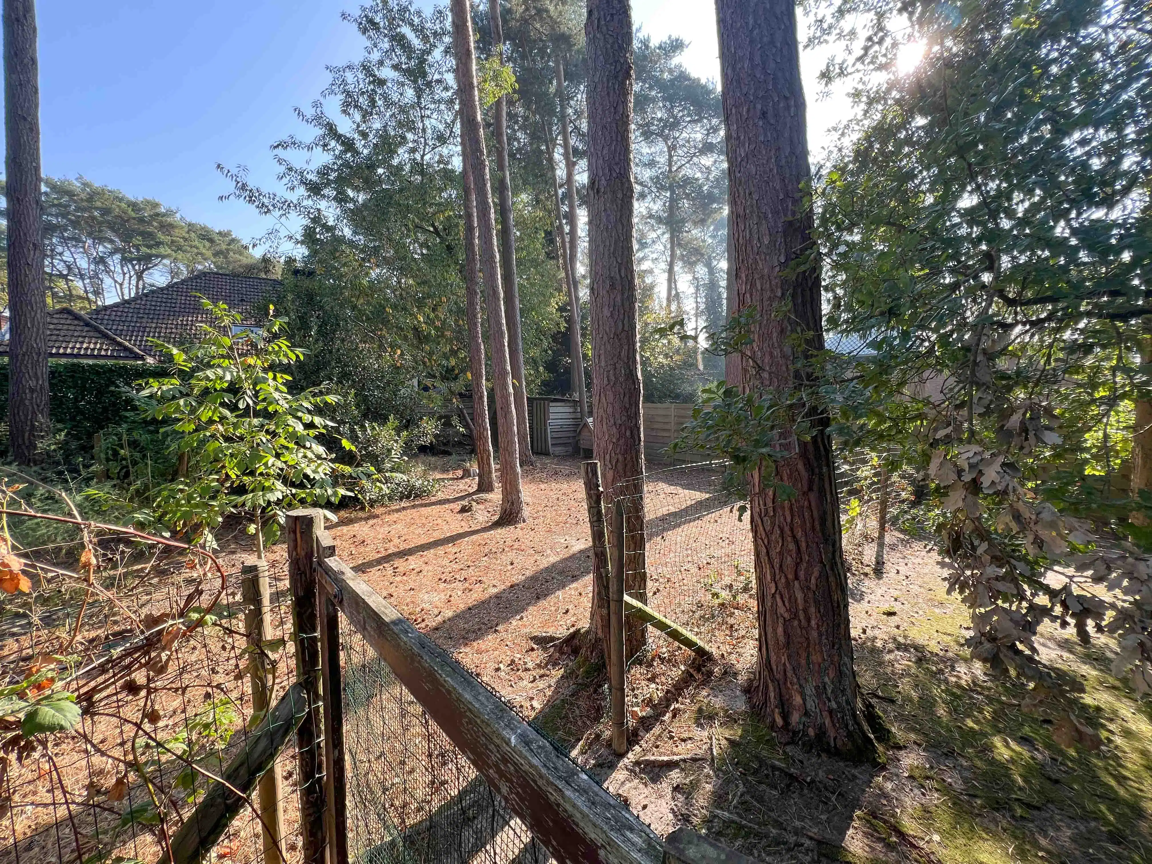 Exclusieve villa op rustige locatie foto 27