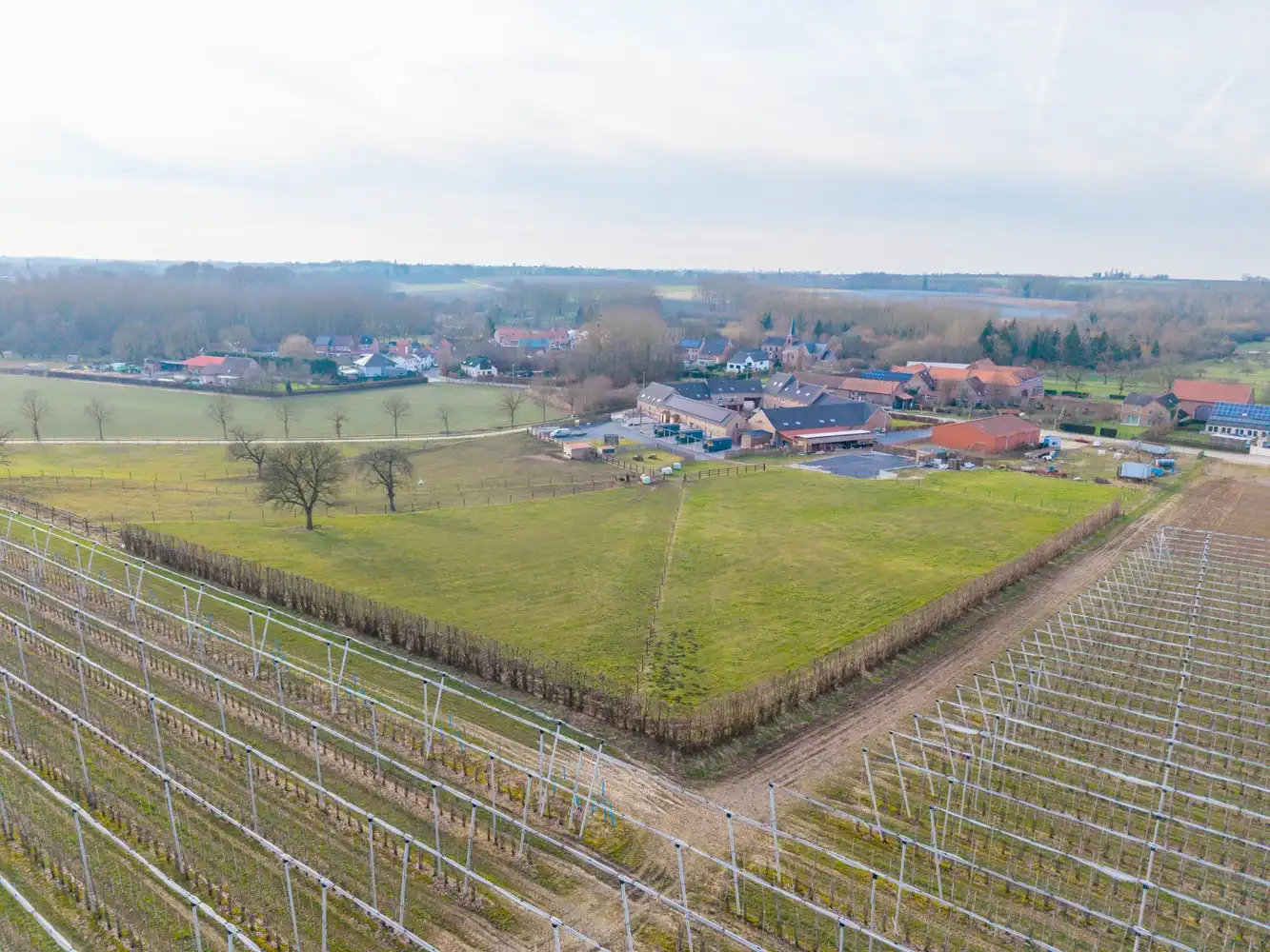 Prachtig gerenoveerde vierkantshoeve (B&B) met wellness te Heers foto 3