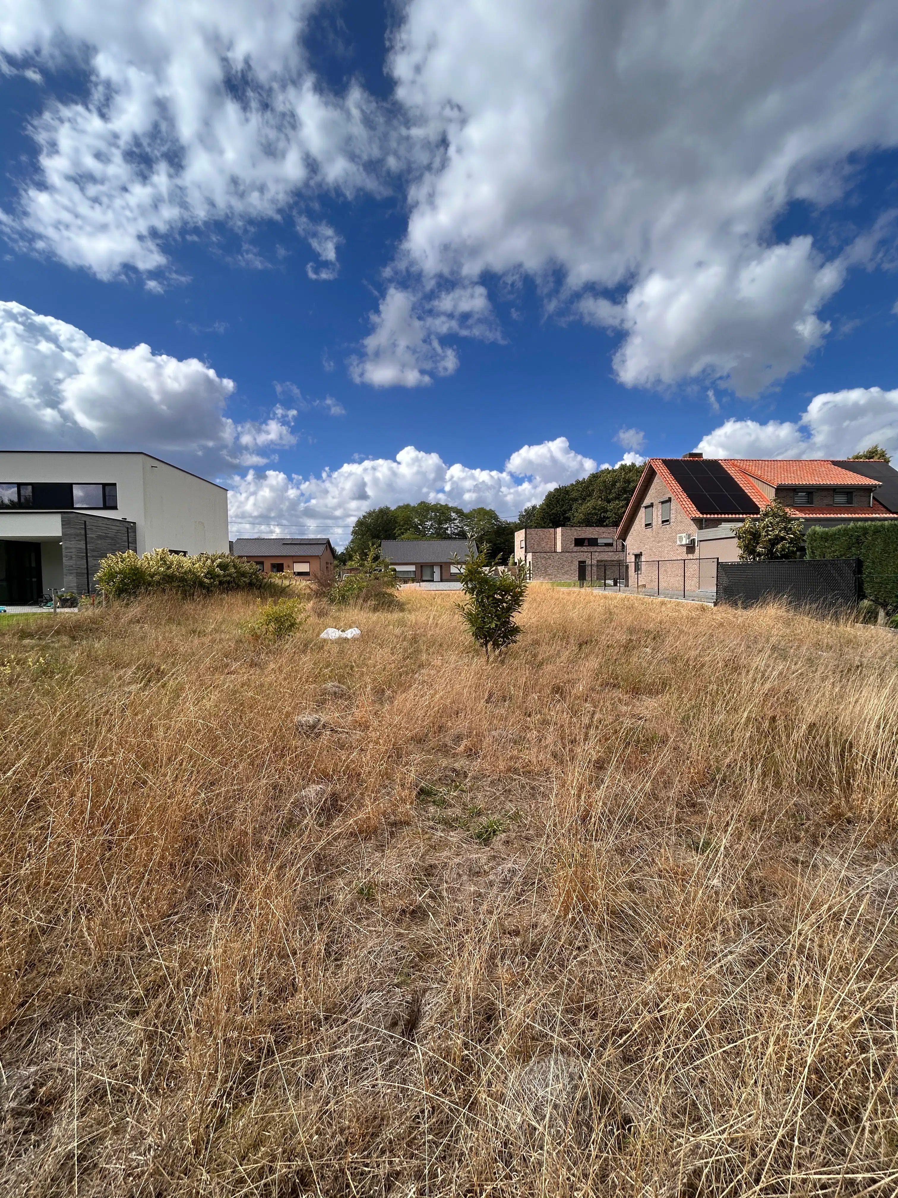 TE KOOP: Rustig gelegen perceel voor ééngezinswoning op 11a 57ca (Spechtenstraat – Hechtel) foto 3